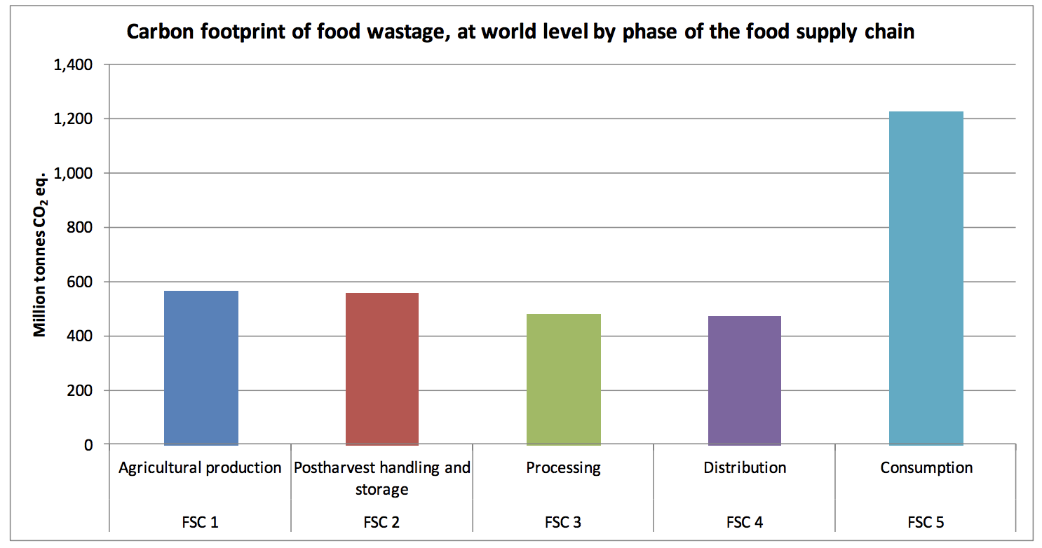 The carbon footprint of food waste during consumption can be decreased if you change the way you shop. Image Source