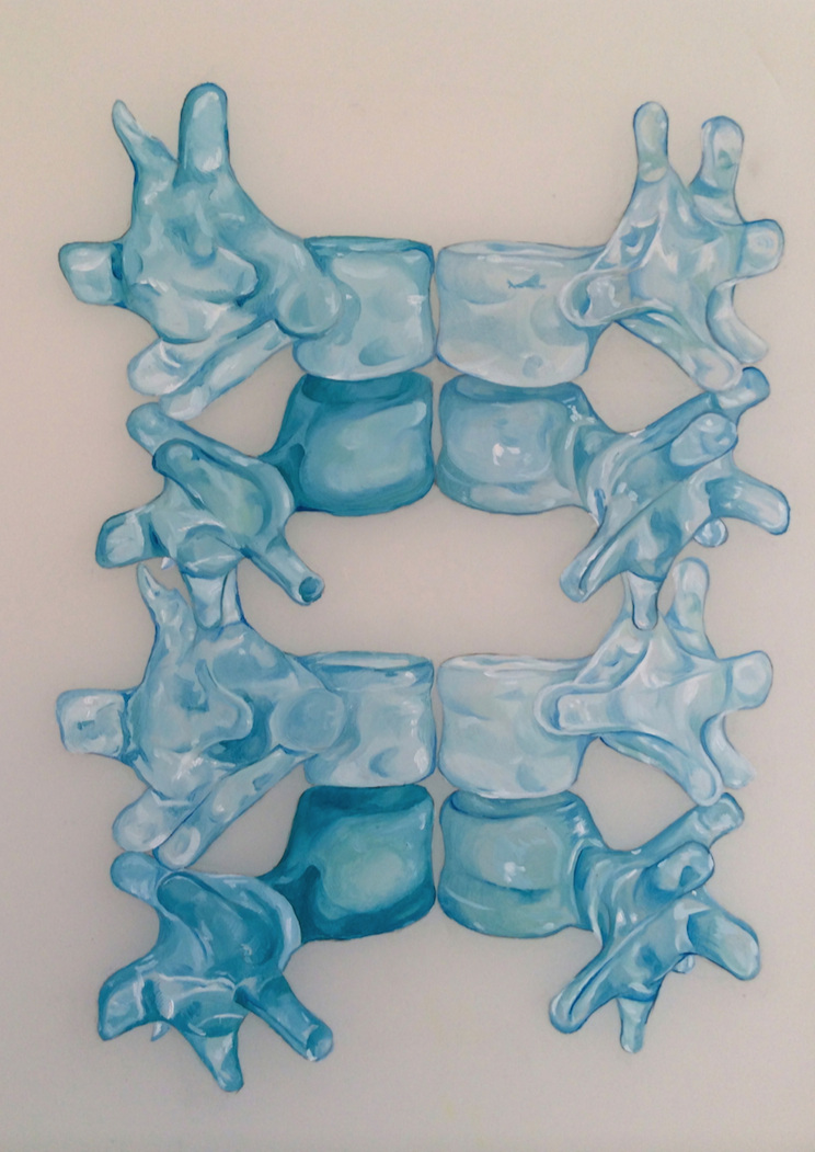 Vertebrae Detail