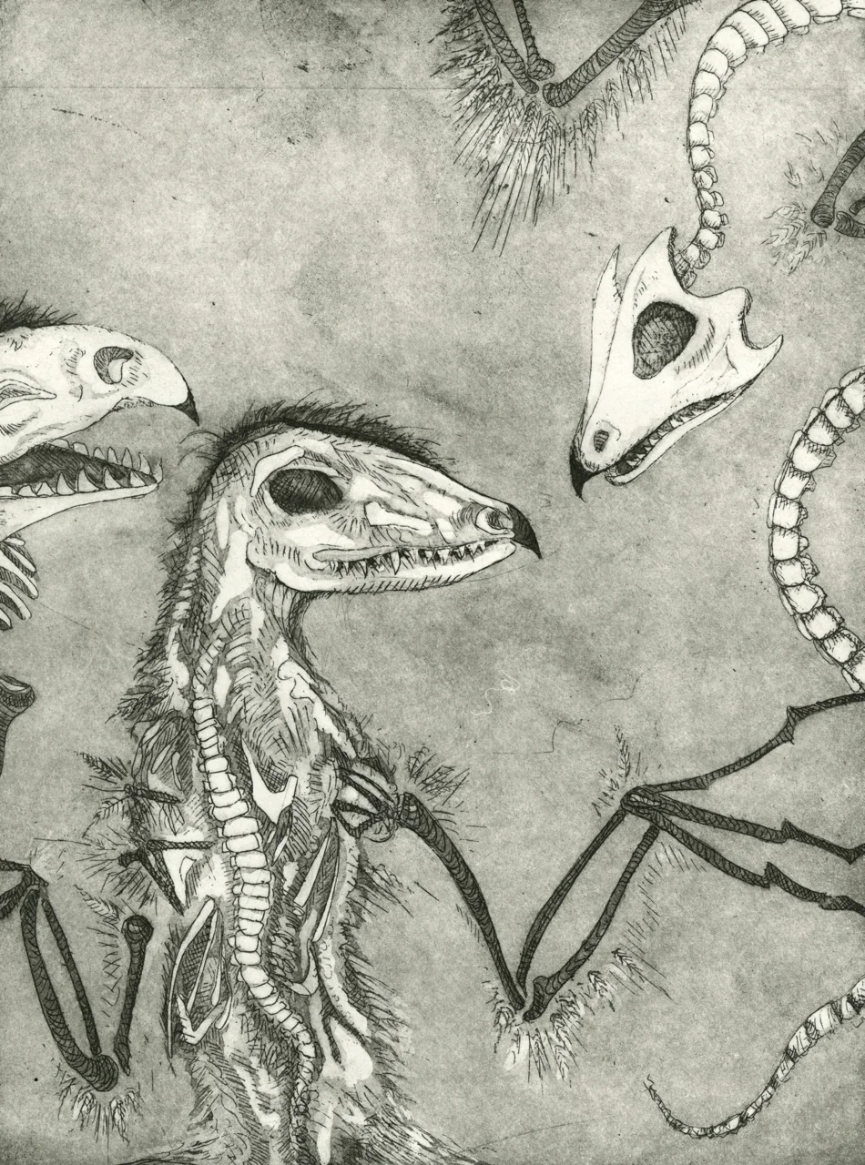FossilsEtchingDetail.jpg