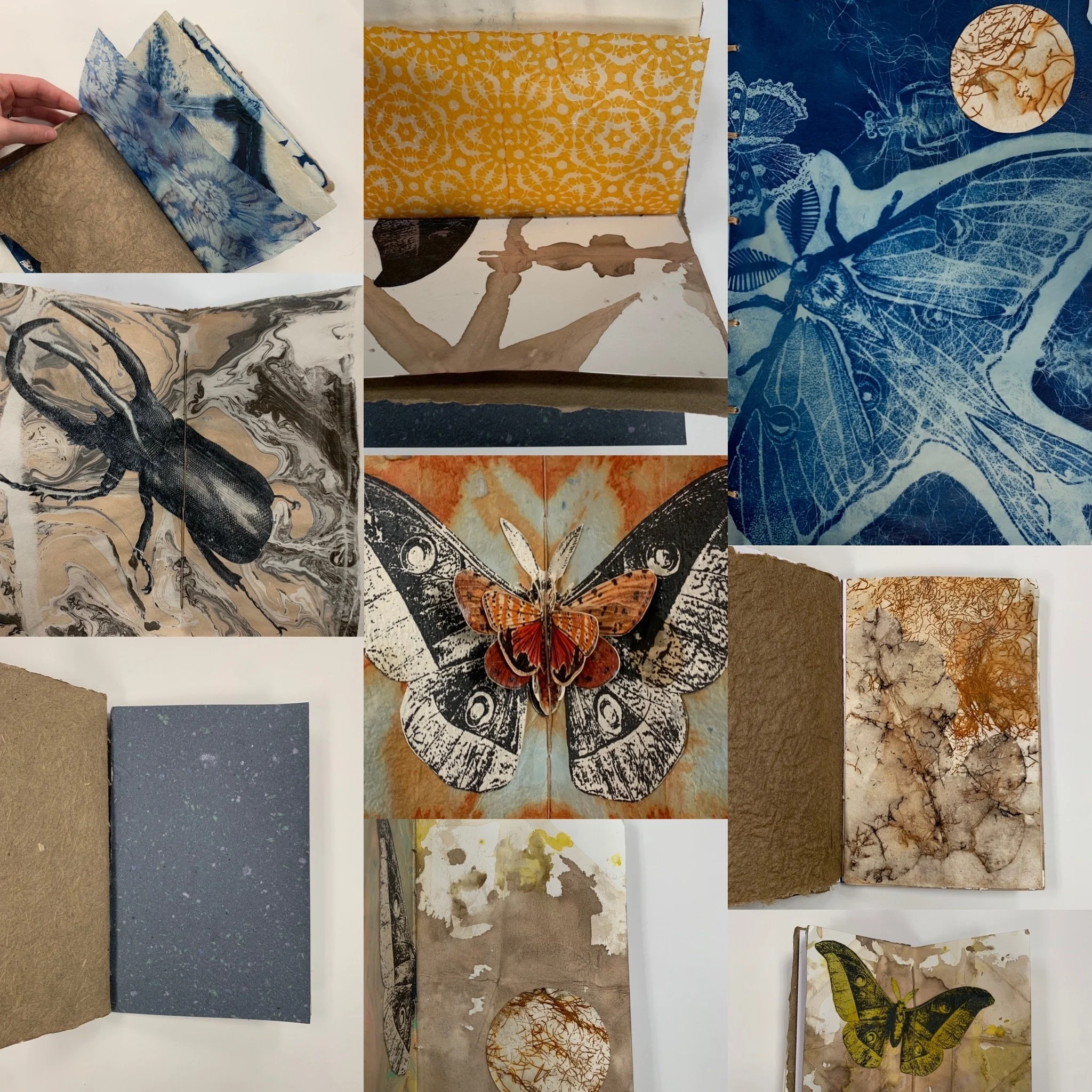 Sustainable sketchbook, December 2022