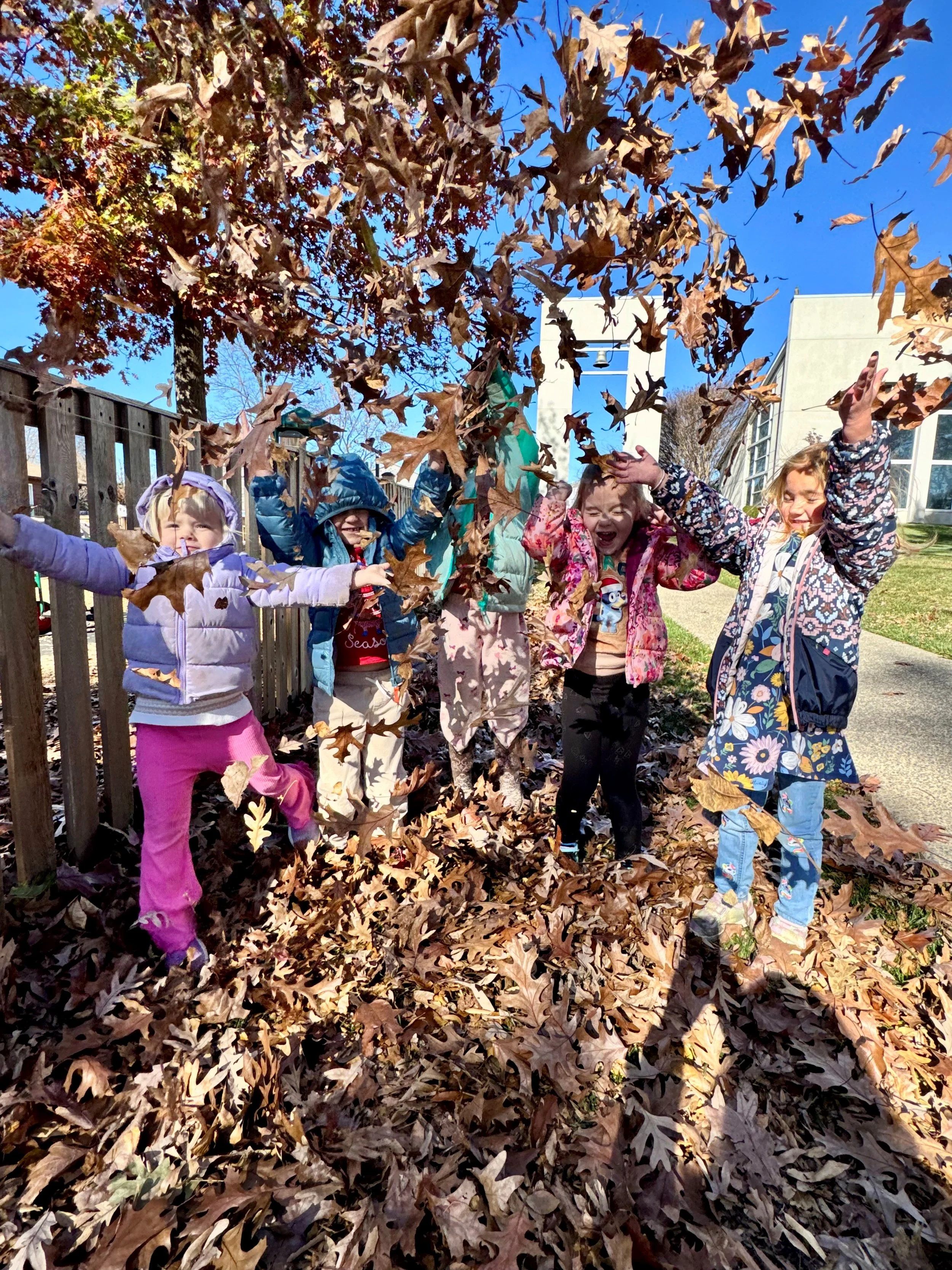 leaves2.jpg