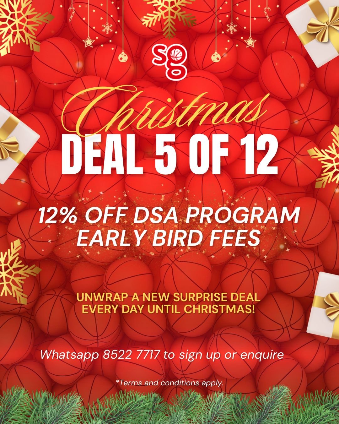 Xmas offer - DSA program 2026.jpeg