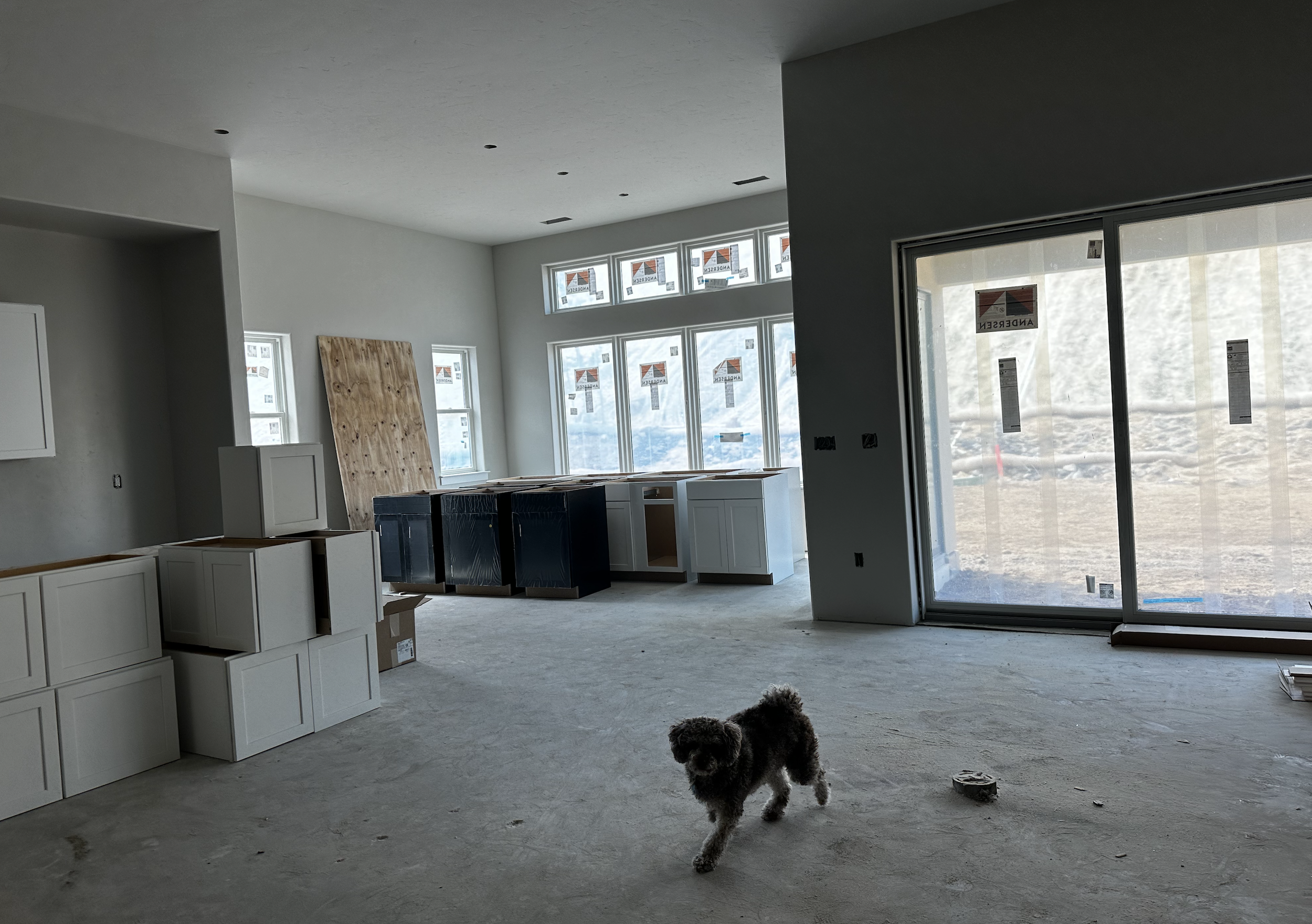 Screenshot 2026-02-15 at 16.08.01.png