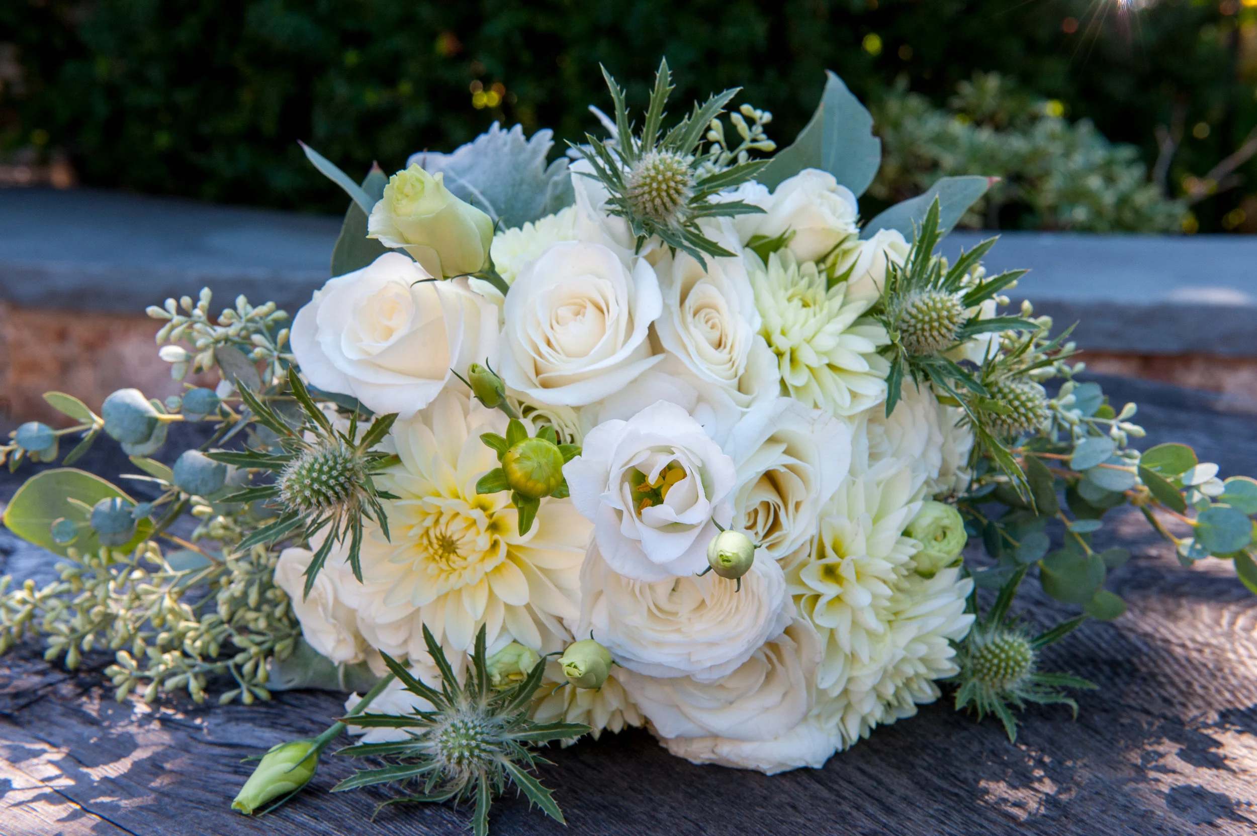 0215 malone 0007.JPG