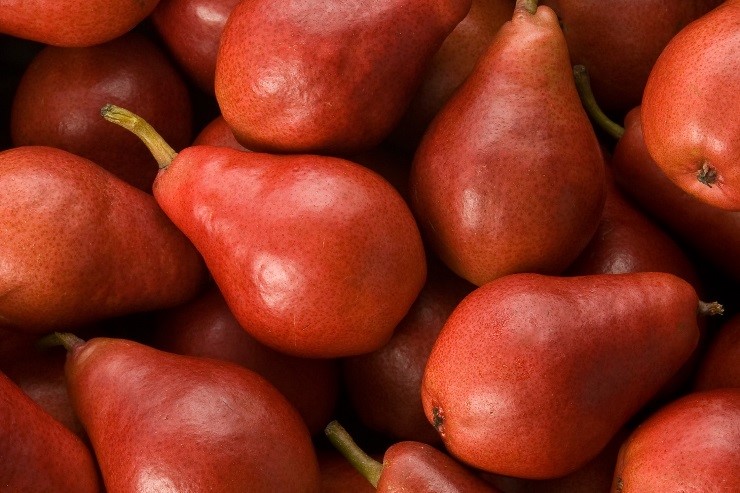 Anjou pears