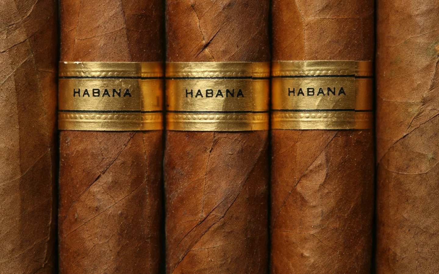 Tobacco1.jpg