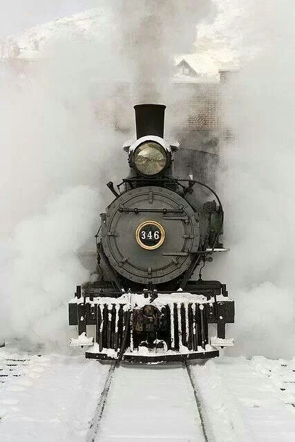 DW2.jpg