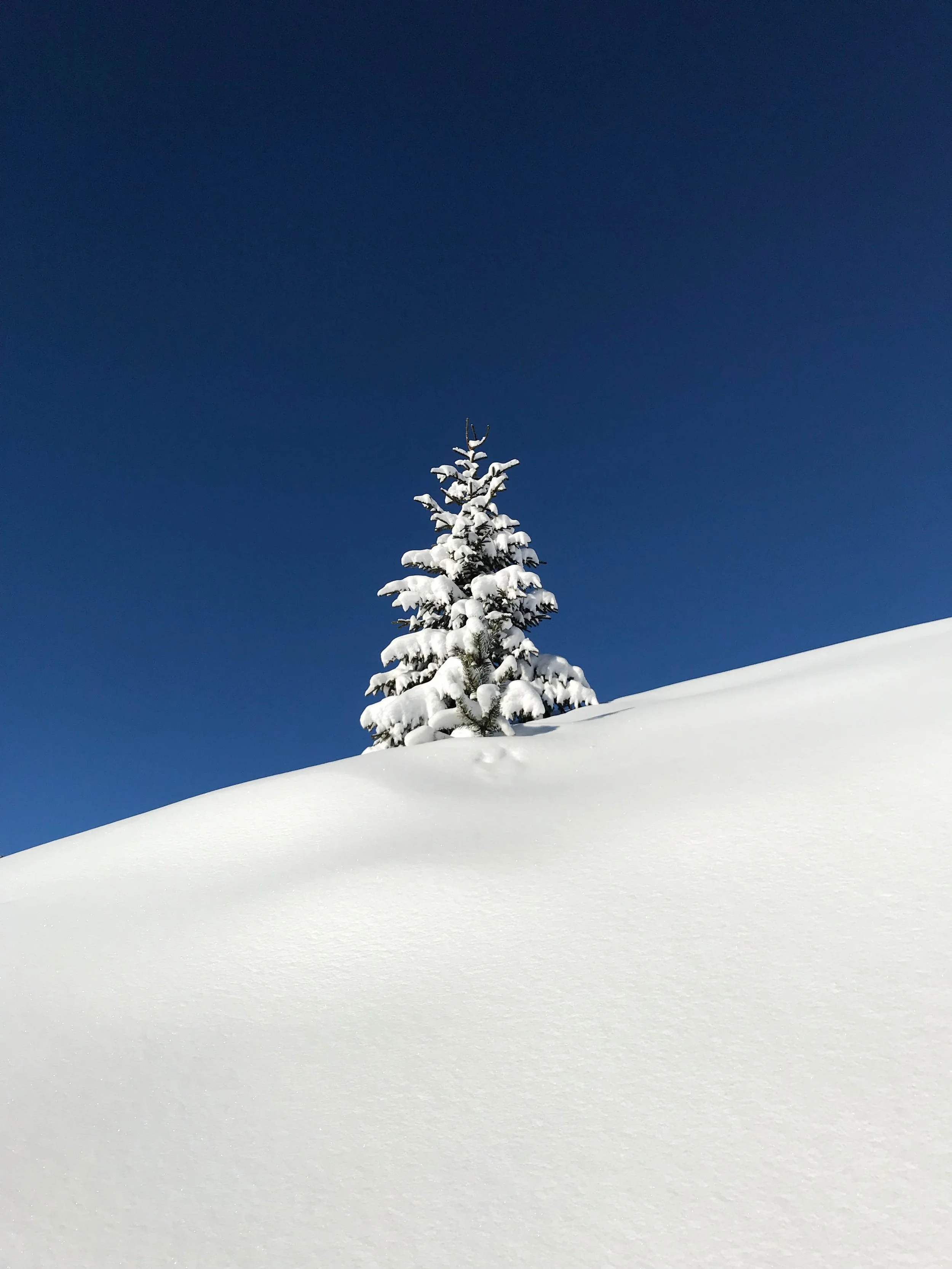 Not all Winters are created equal and other lessons in comparison