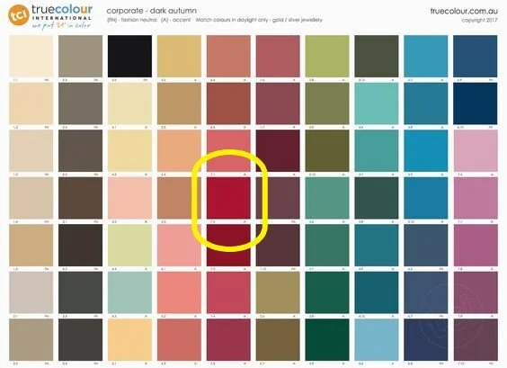 Paprika palette 2.jpg