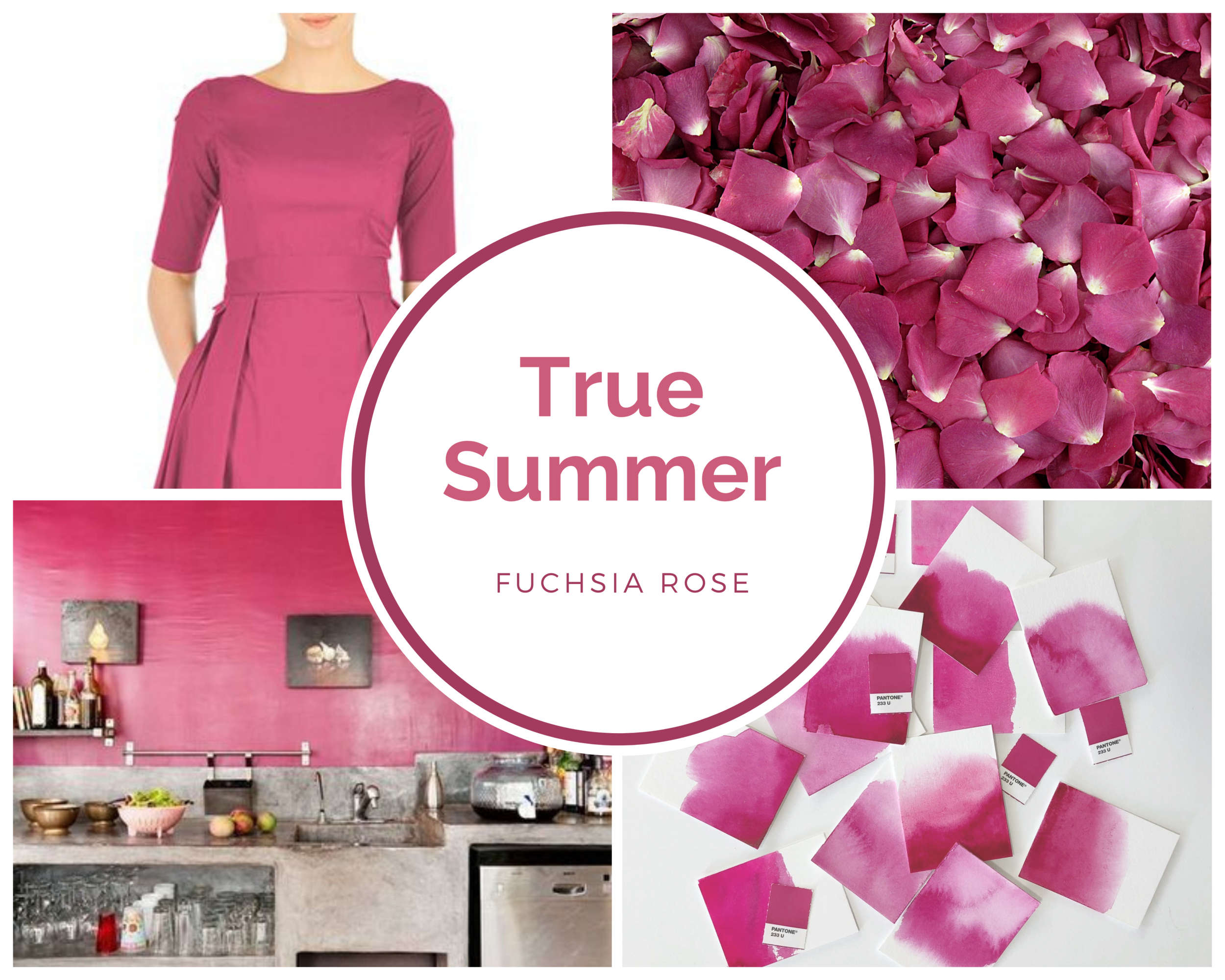 True Summer Fuchsia Rose.png