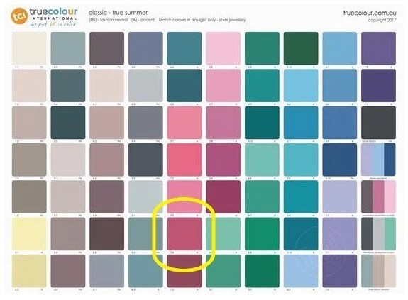 TSu classic Fuschia rose.jpg