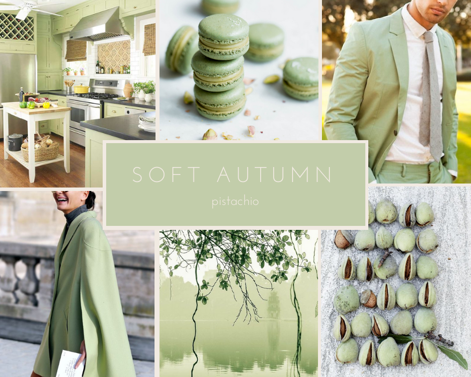 Soft Autumn Pistachio.png