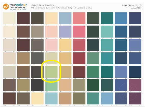 Soft Autumn pistachio.png