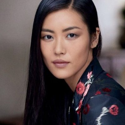 Liu Wen