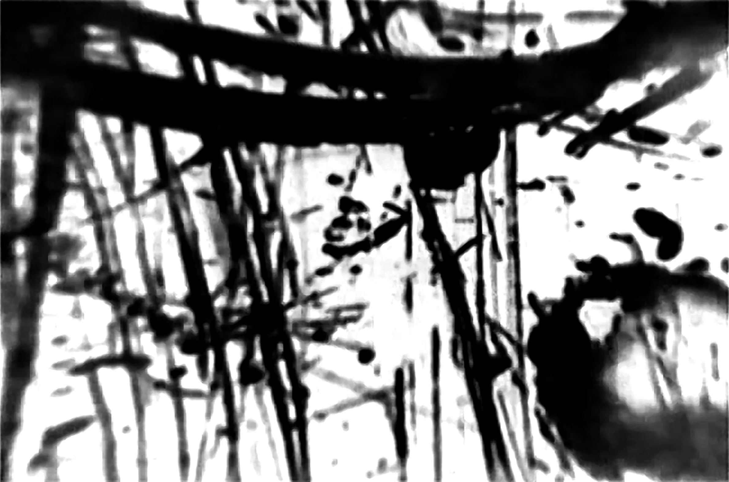 Curtis Roads Official website