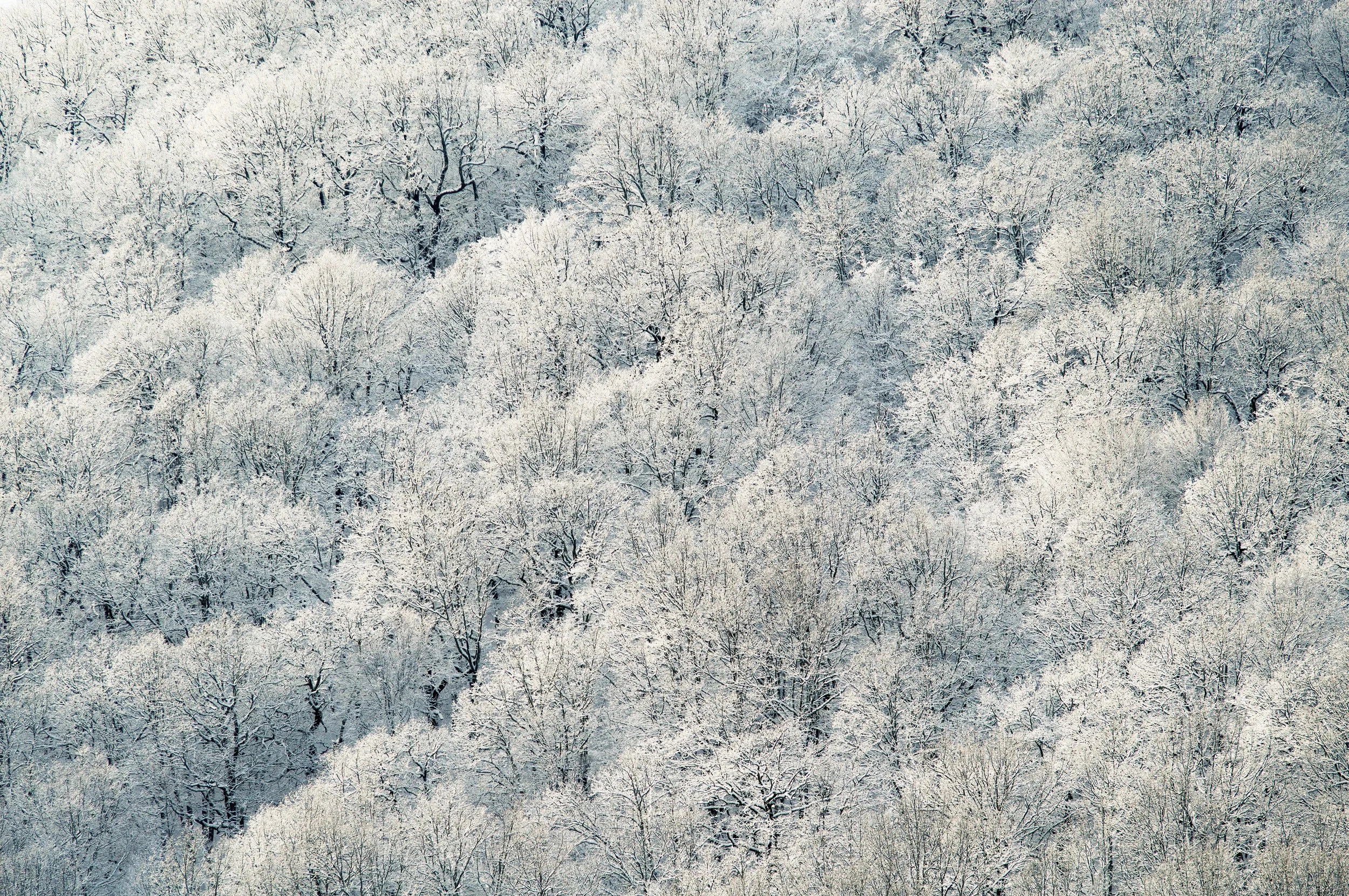 stas-ovsky-179669-unsplash.jpg
