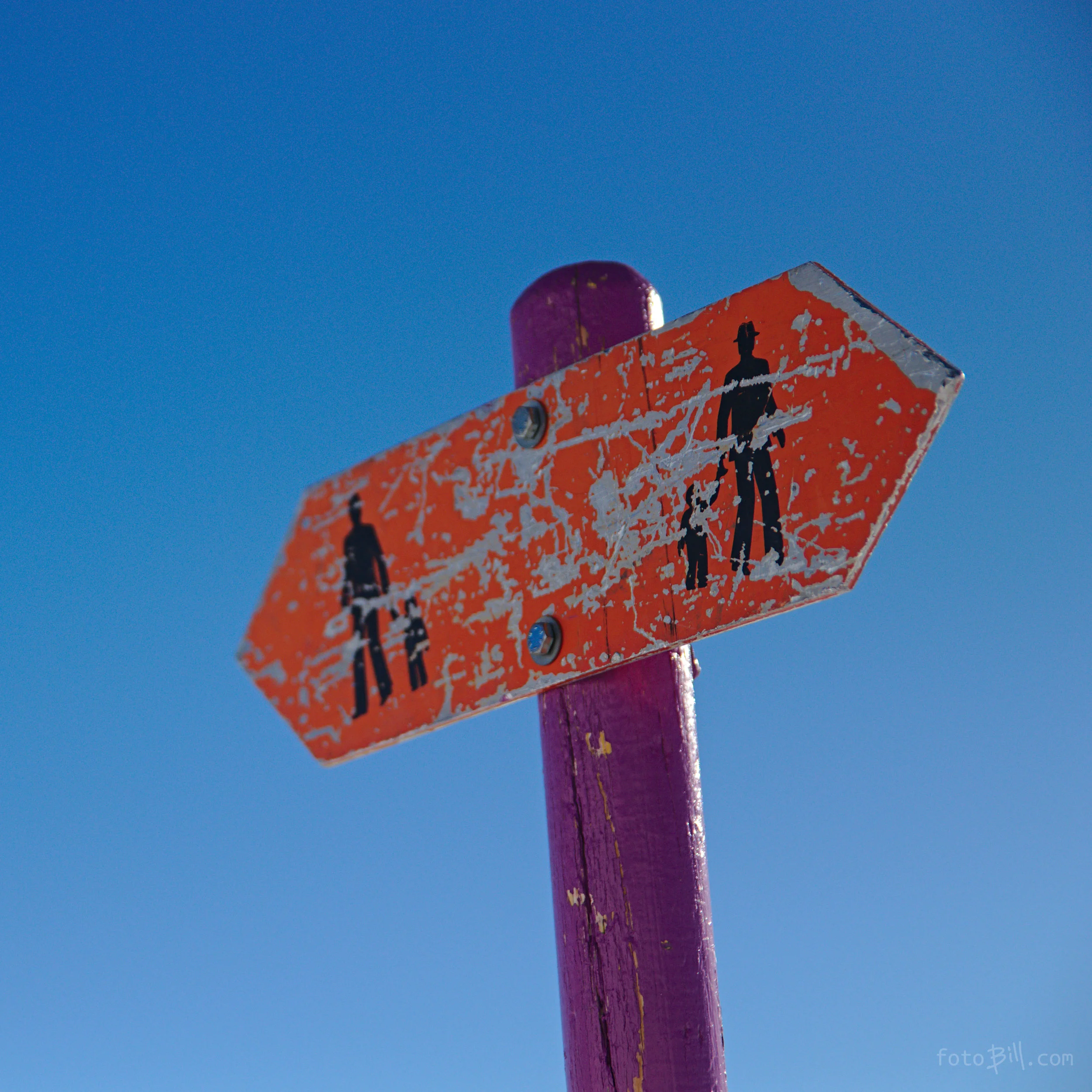 rralp_0035_marked_z.jpg