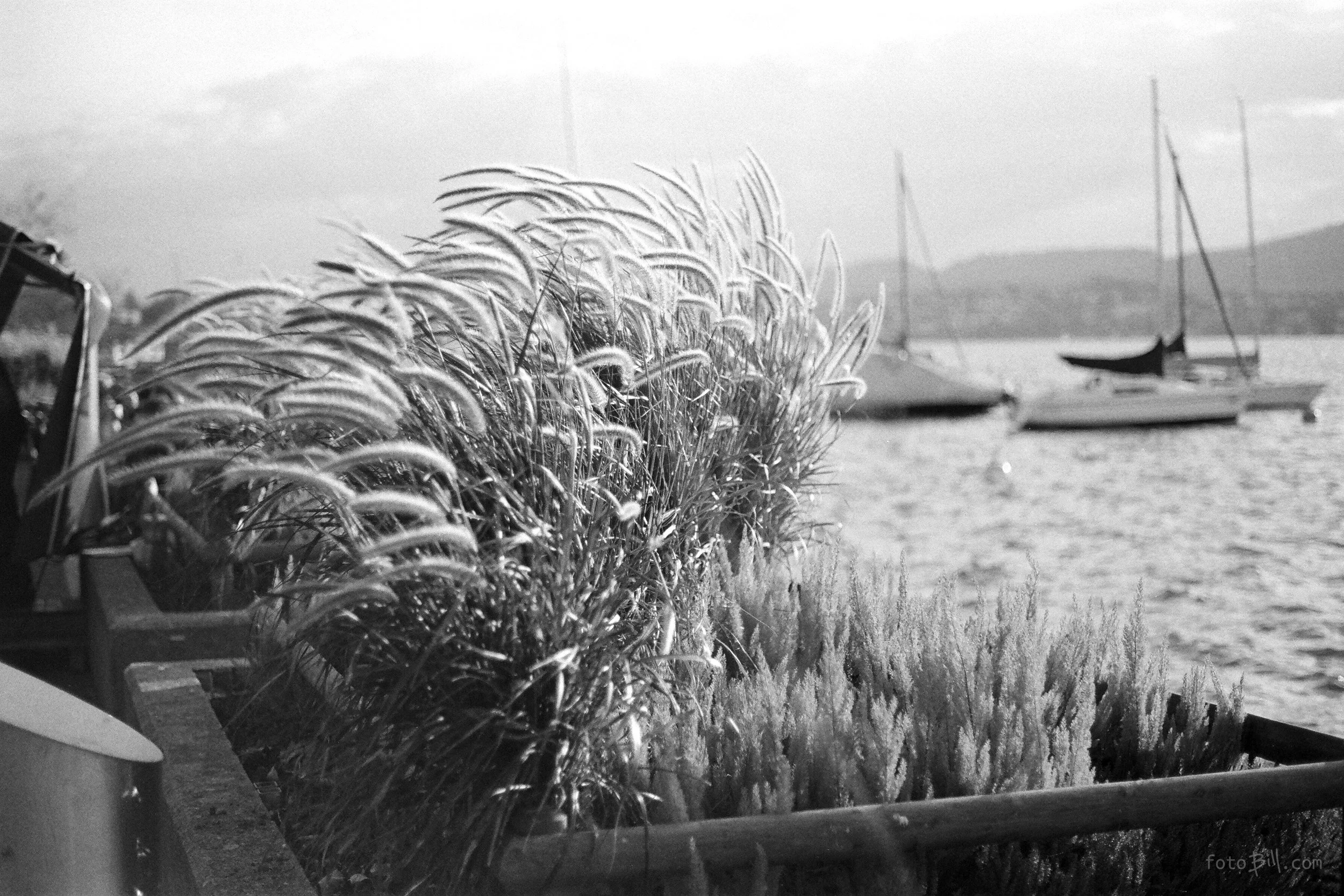 at the lake