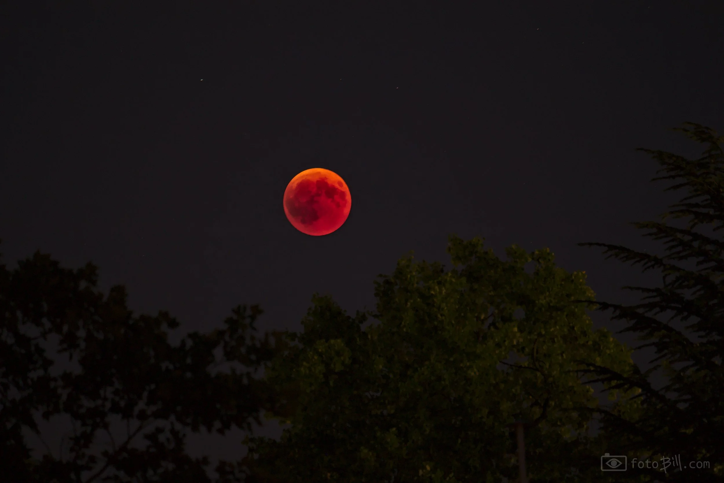 luna rossa