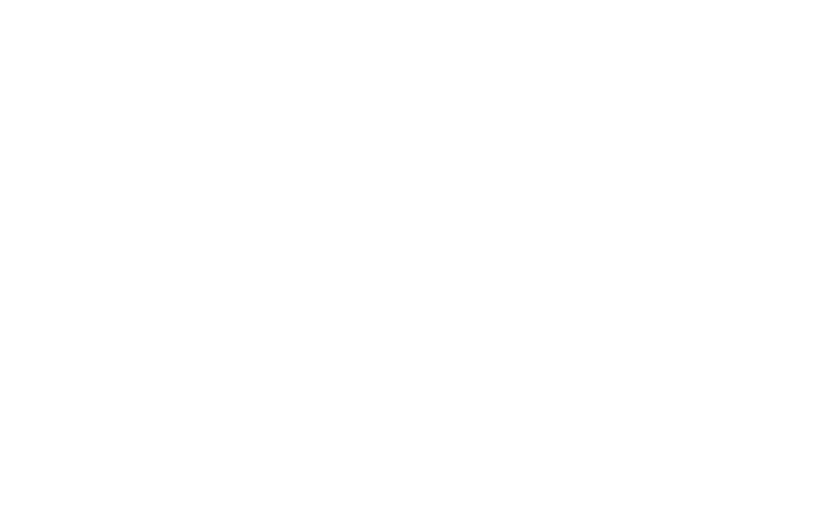 Beautifully Flawed Productions