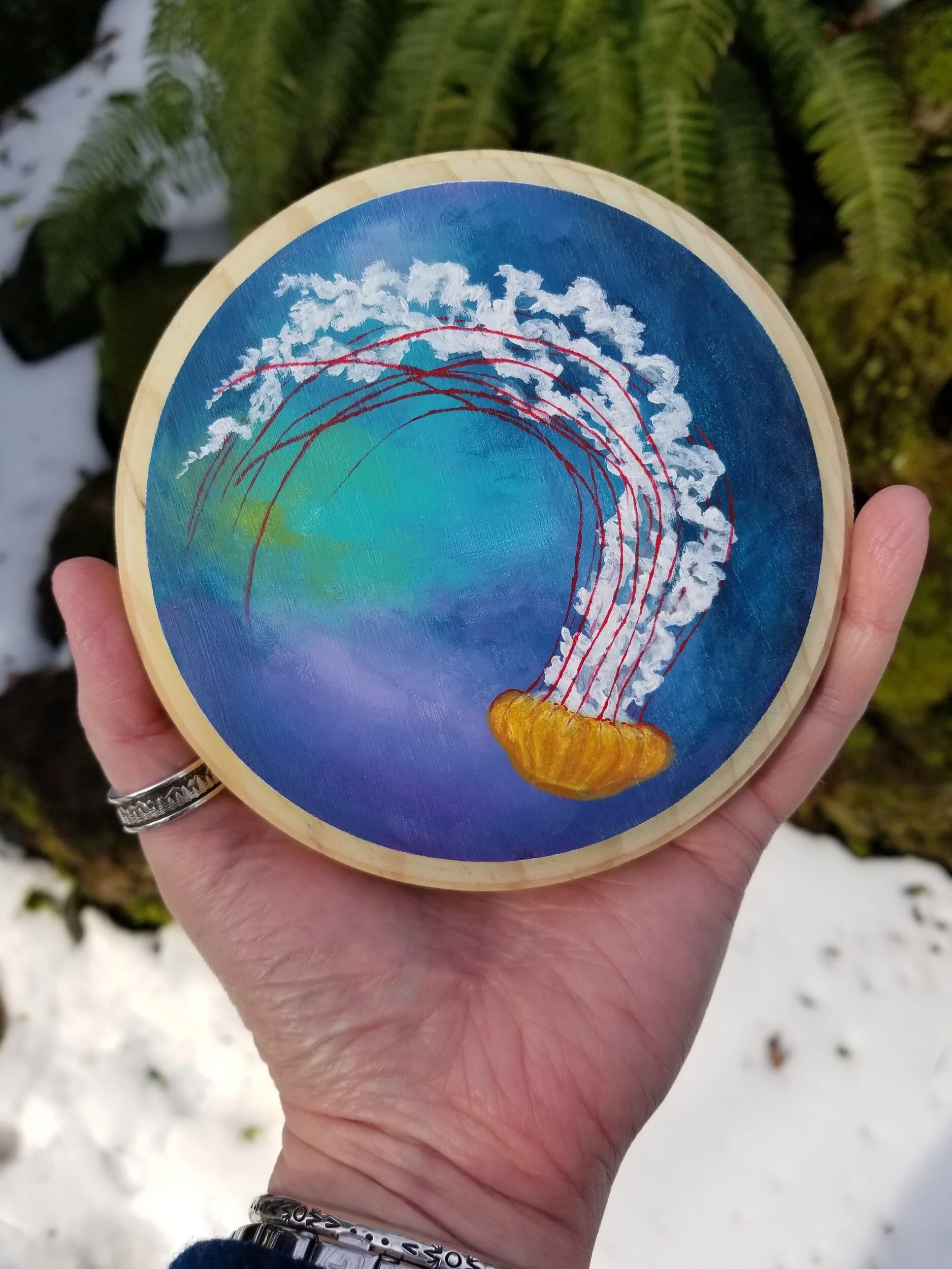 Pacific Sea Nettle, acrylic on wood 5”x5”