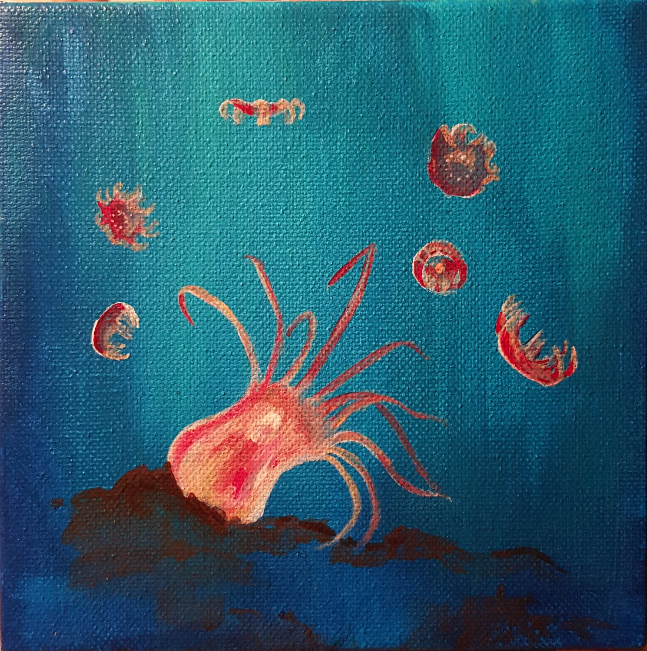 Jellies are Born, acrylic on canvas 6”x6”