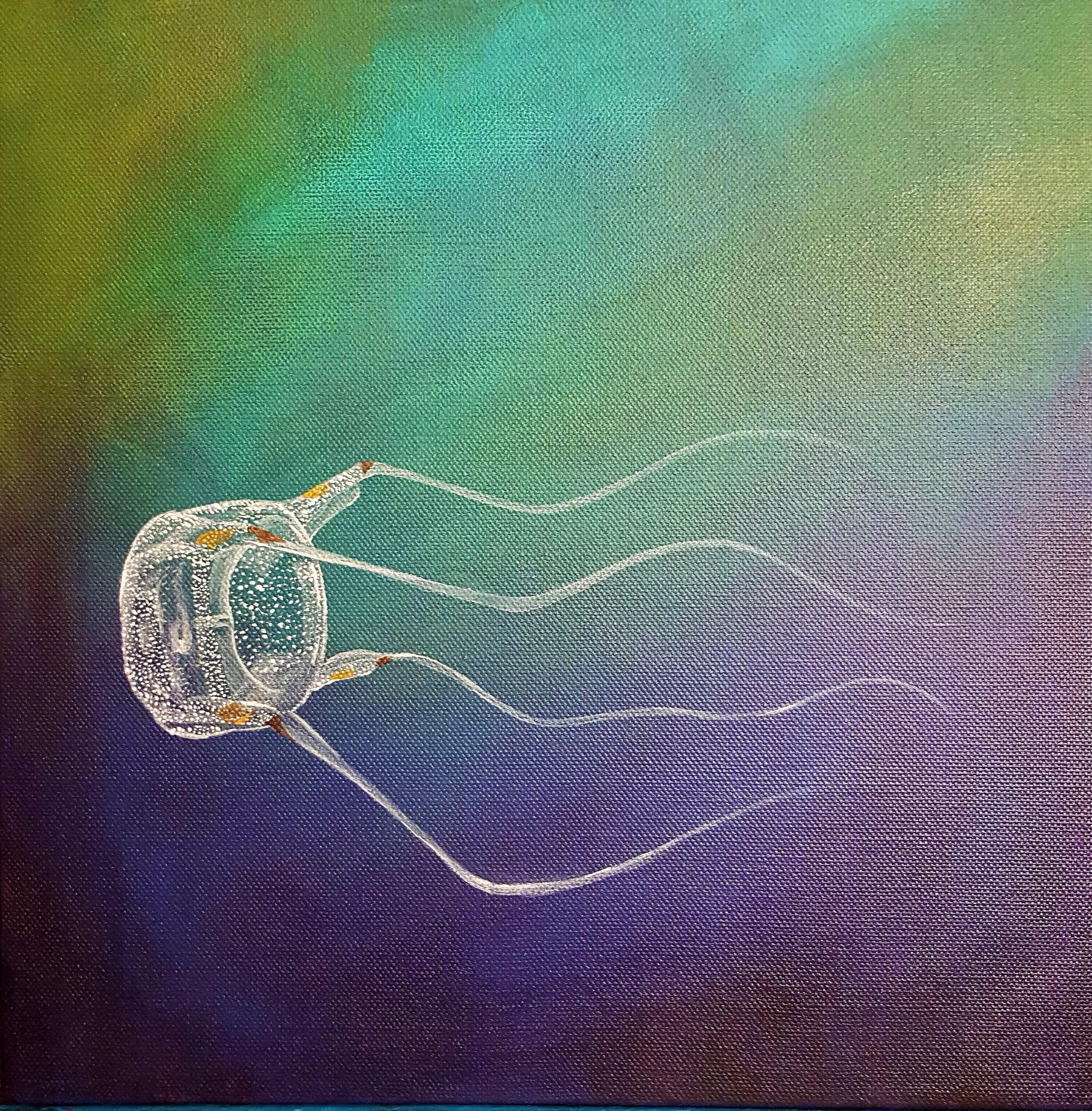 Box Jelly, acrylic on canvas  12” x 12”