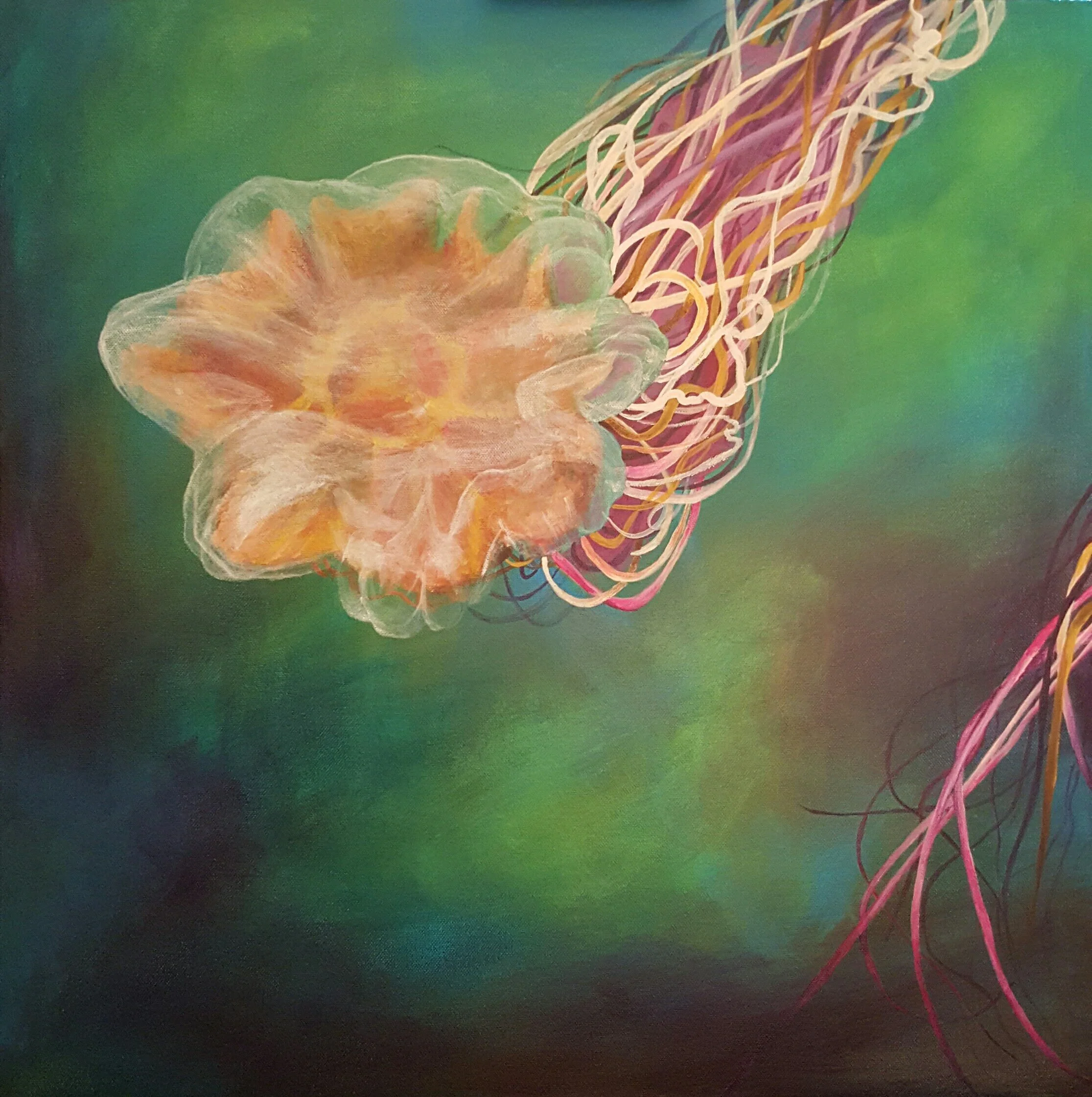 Young Lion’s Mane Jelly, acrylic on canvas 24”x 24”