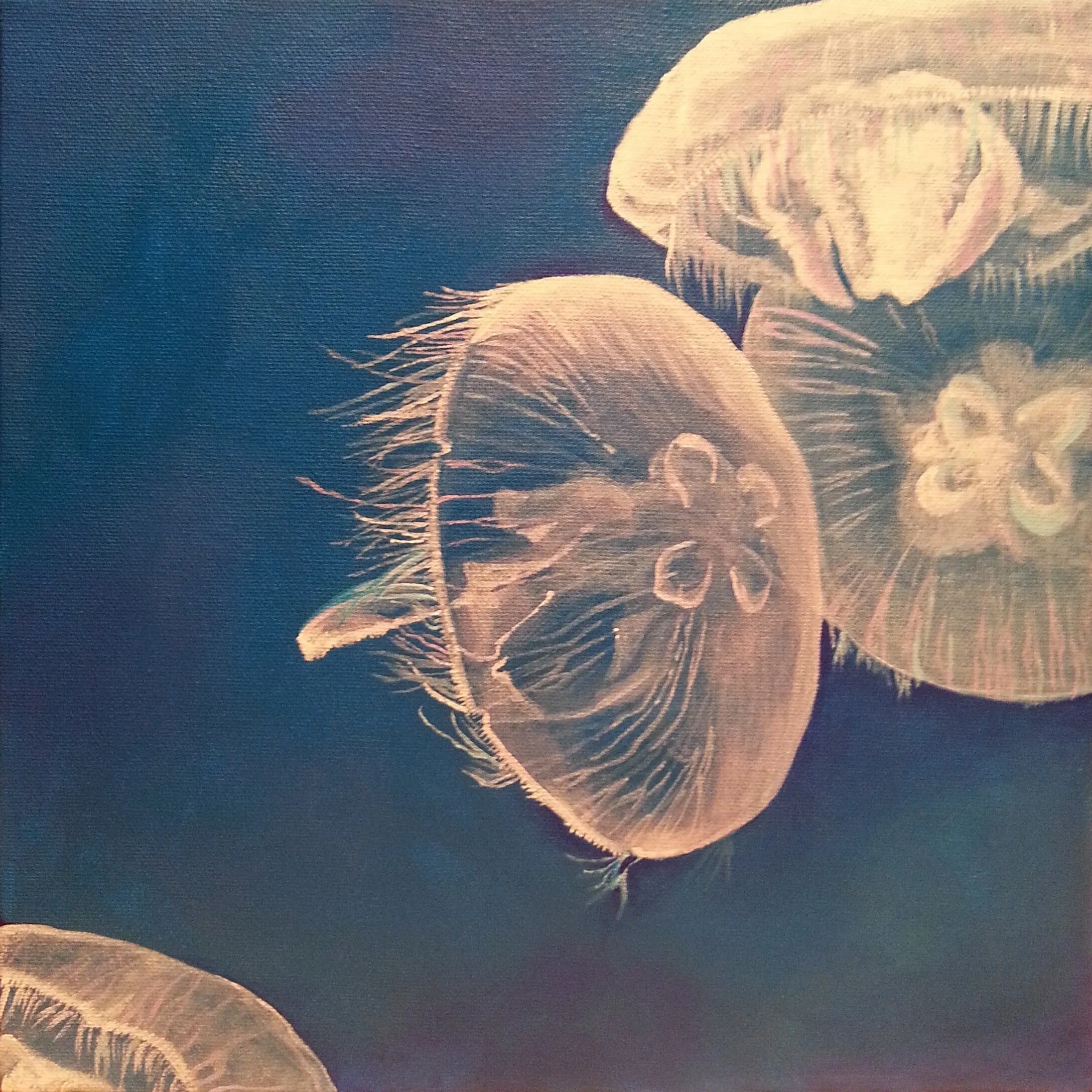 Moon Jellies, acrylic on canvas 12”x 12”