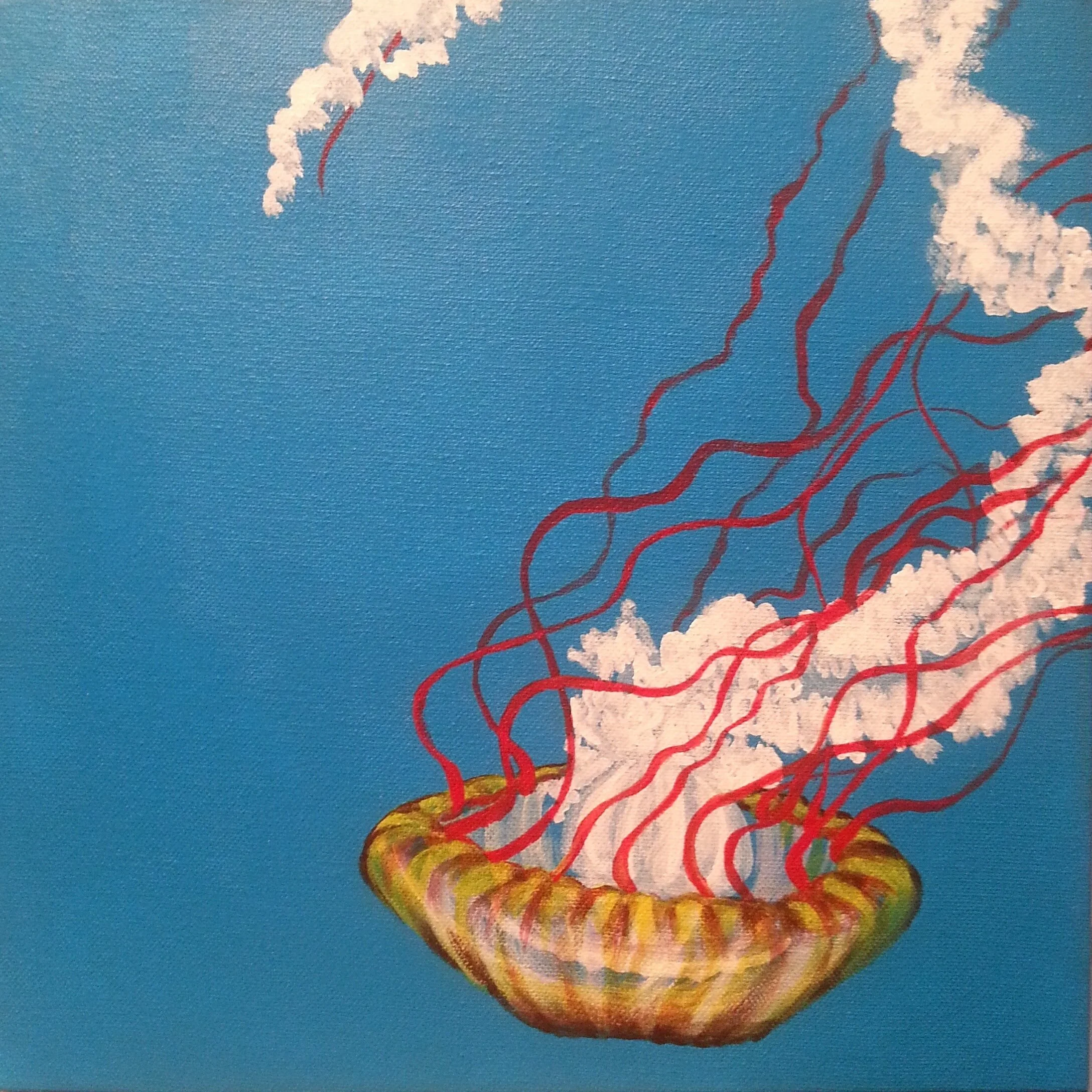 Pacific Sea Nettle 2, acrylic on canvas 12”x 12”