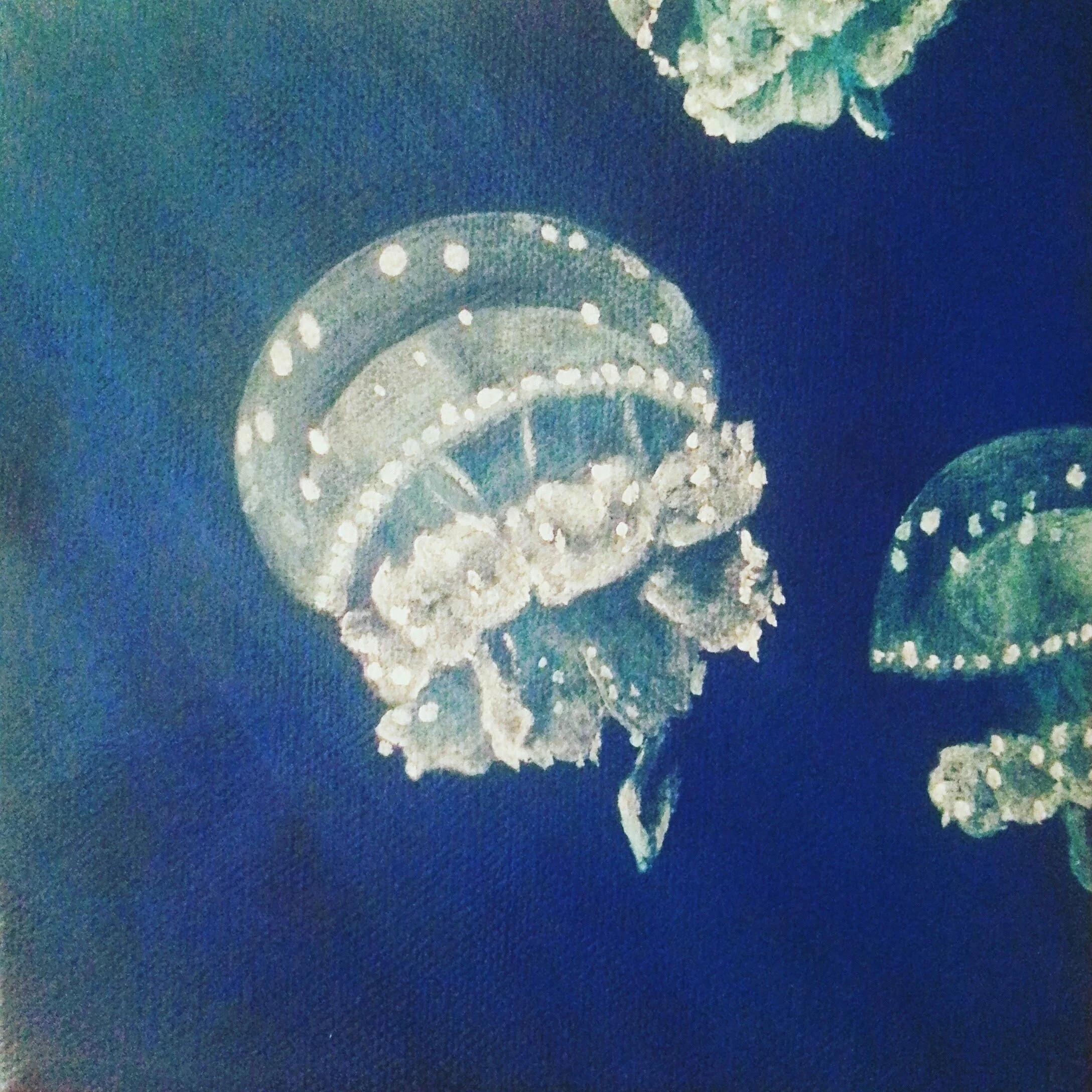 Polka Dots, acrylic on canvas 6”x 6”