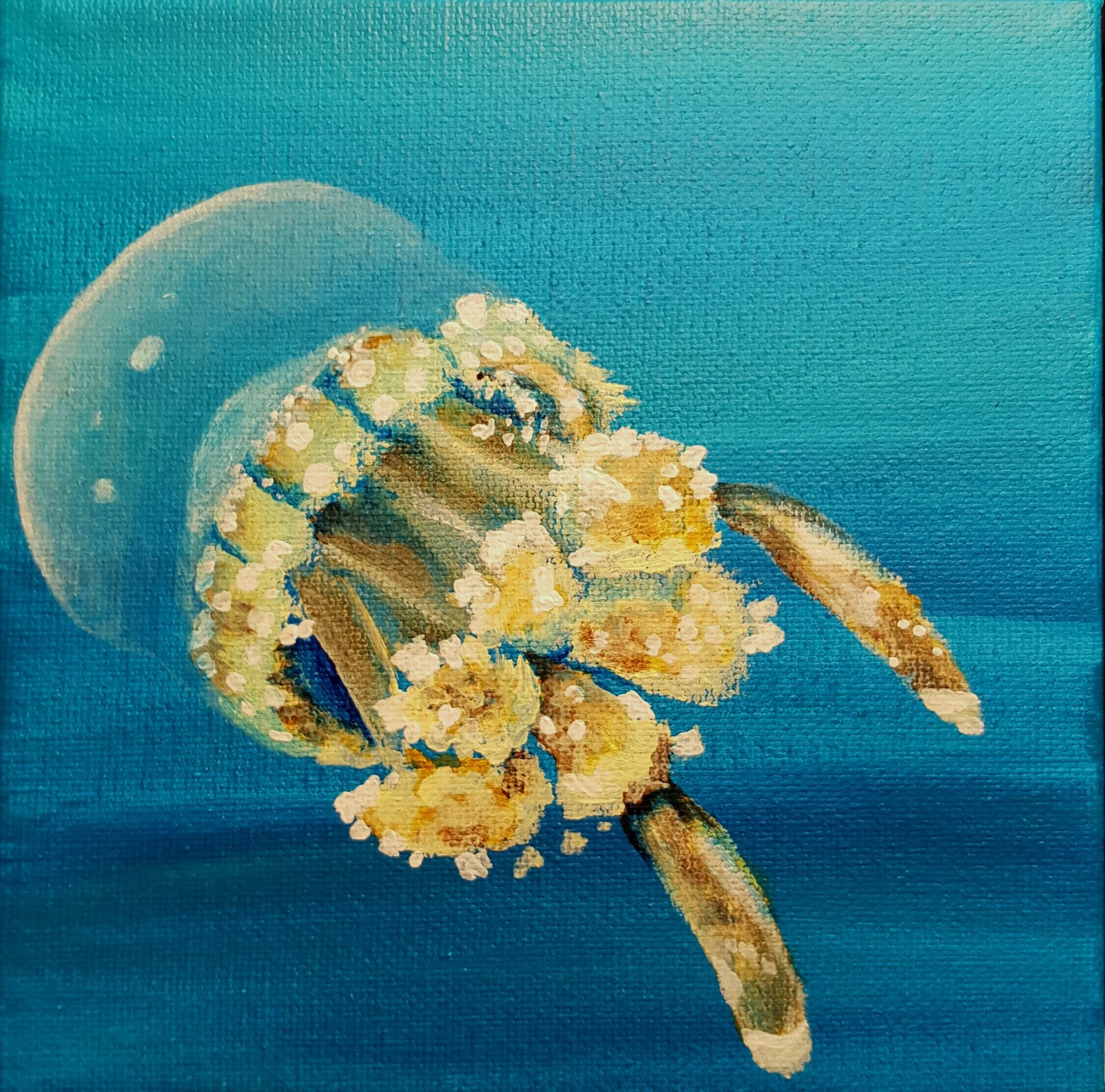 Polka Dot Jelly, acrylic on canvas 6”x 6”