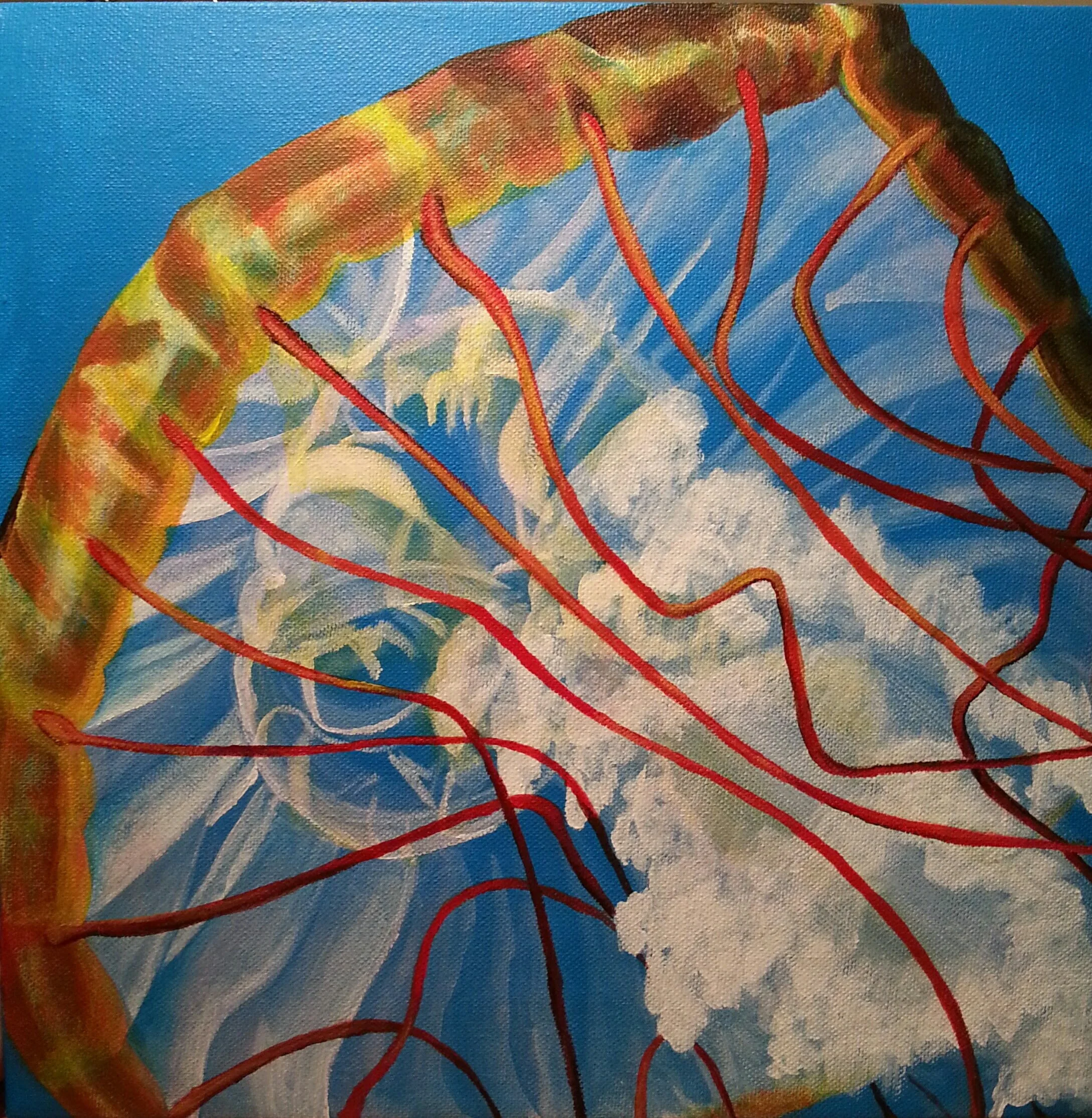 Pacific Sea Nettle 3, acrylic on canvas 12”x 12”