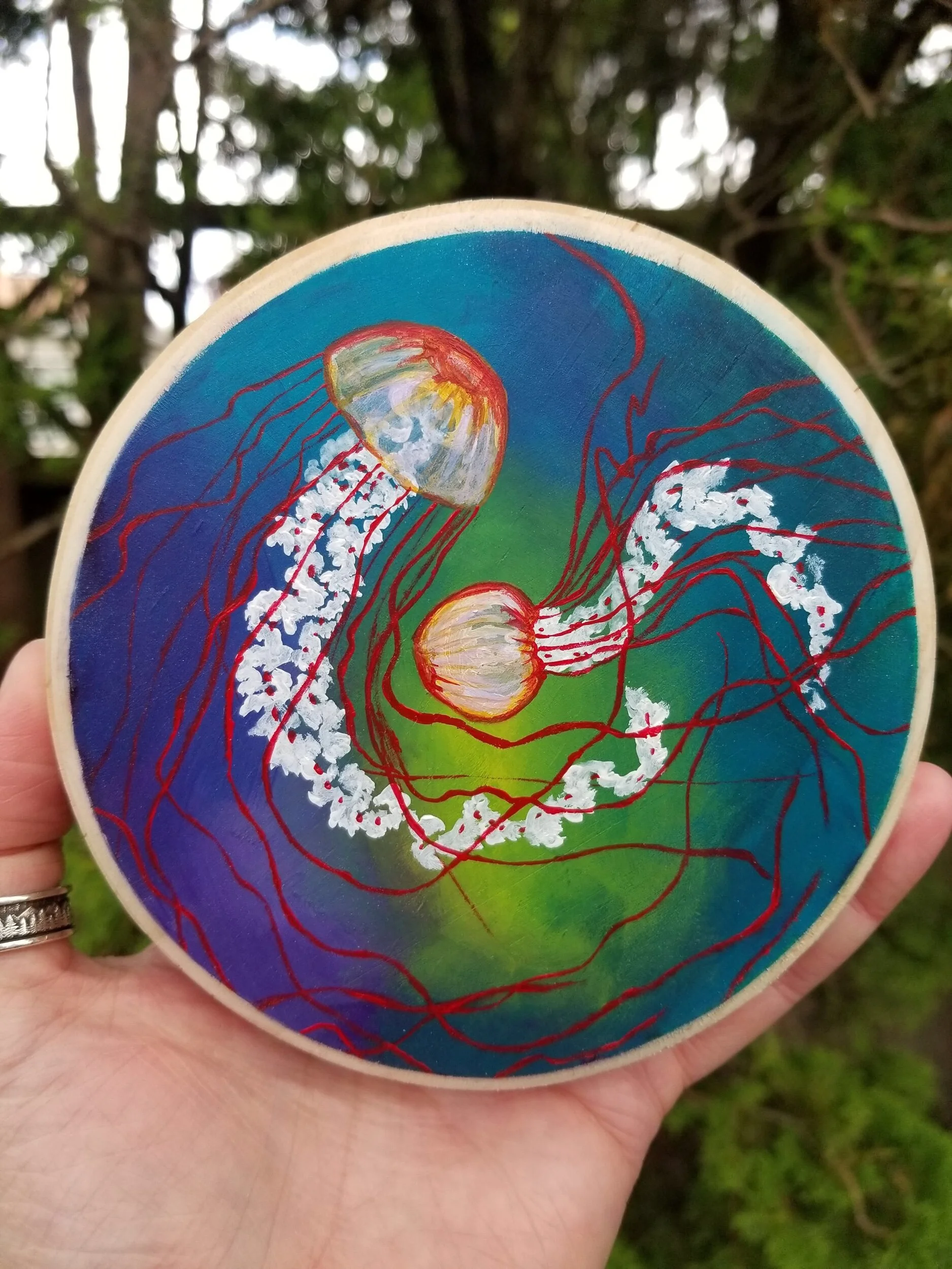 Pacific Sea Nettles, acrylic on wood 5”x5”