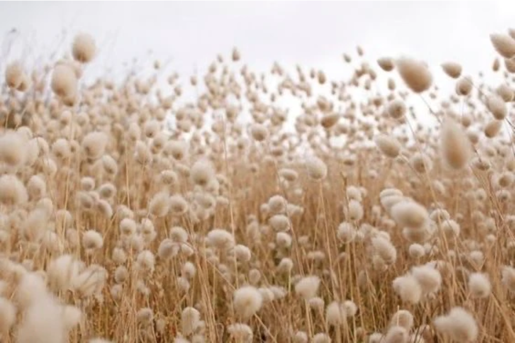 Screen Shot 2022-03-07 at 11.18.11 AM.png