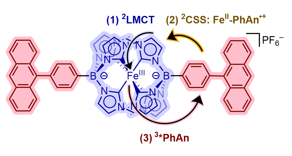 Fe Structures_v5_RevisedColor.png