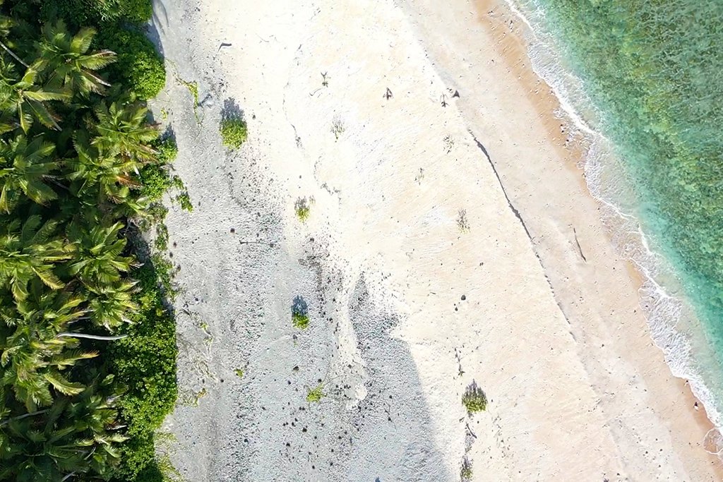 img-beach-coast-island-tuvalu-1024x683.jpg