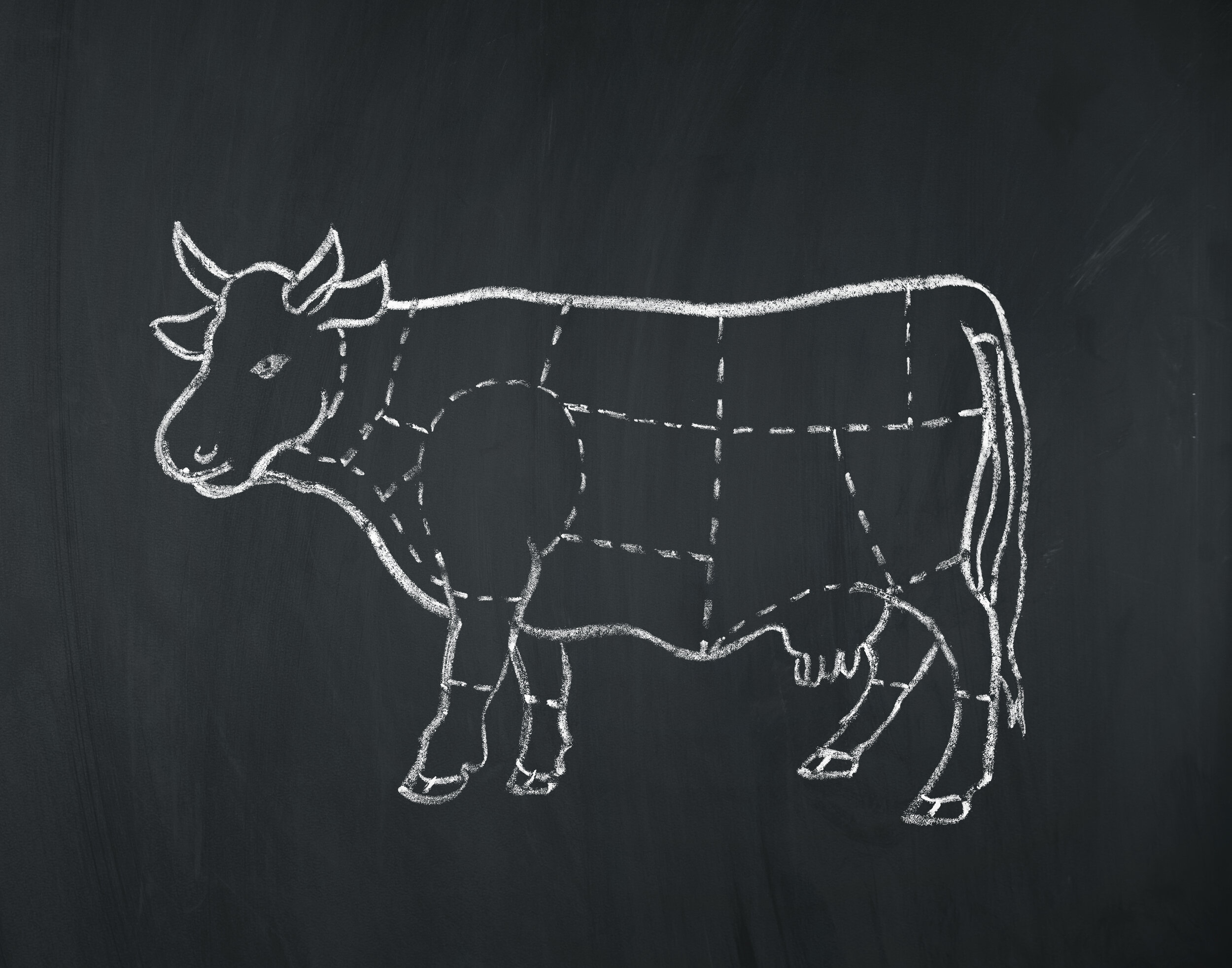 meat-diagram-of-a-cow-481577650_7363x5788.jpeg