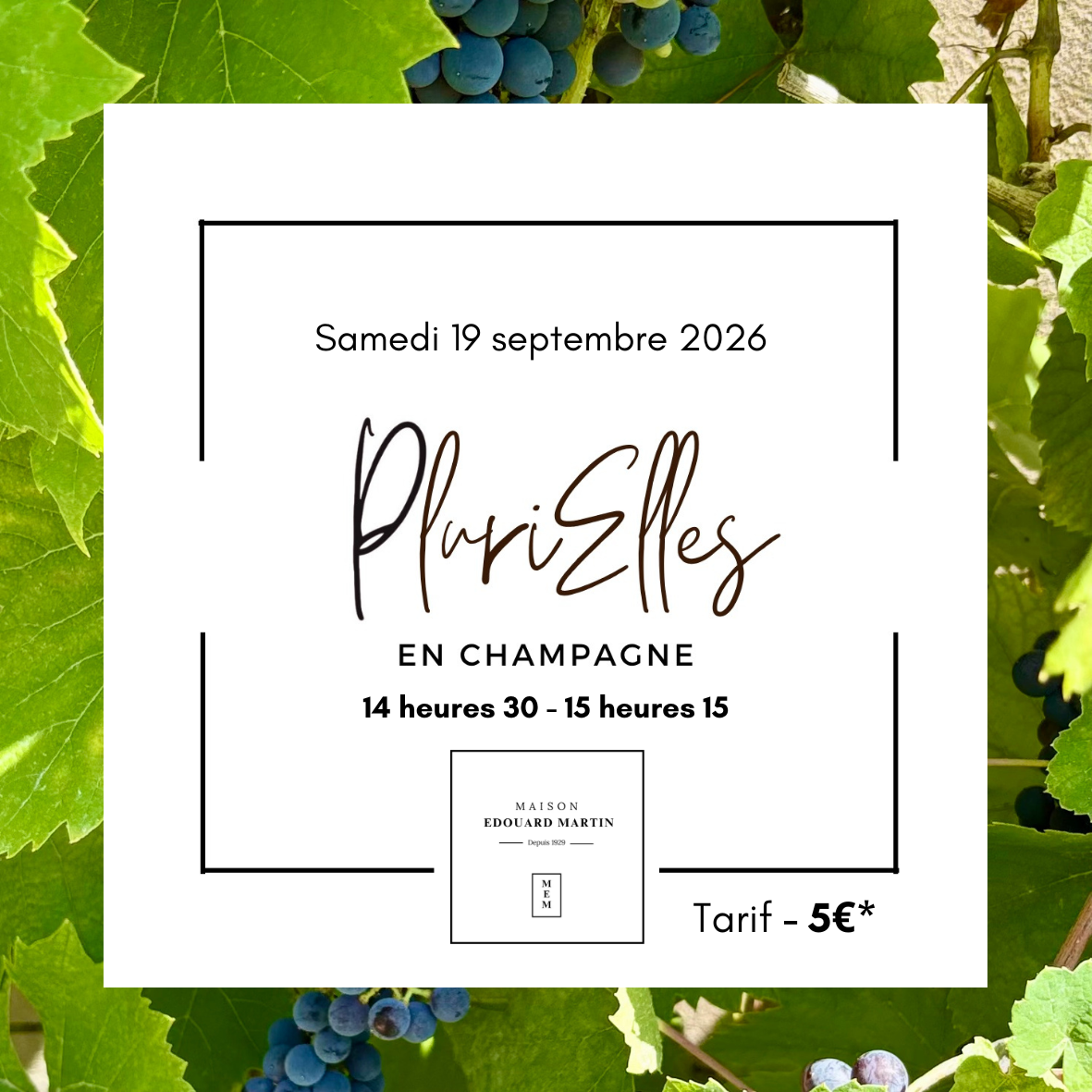 PEC26 - MEM Visite -2.png