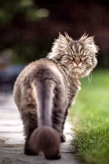 Request Your Way Out of Resentment