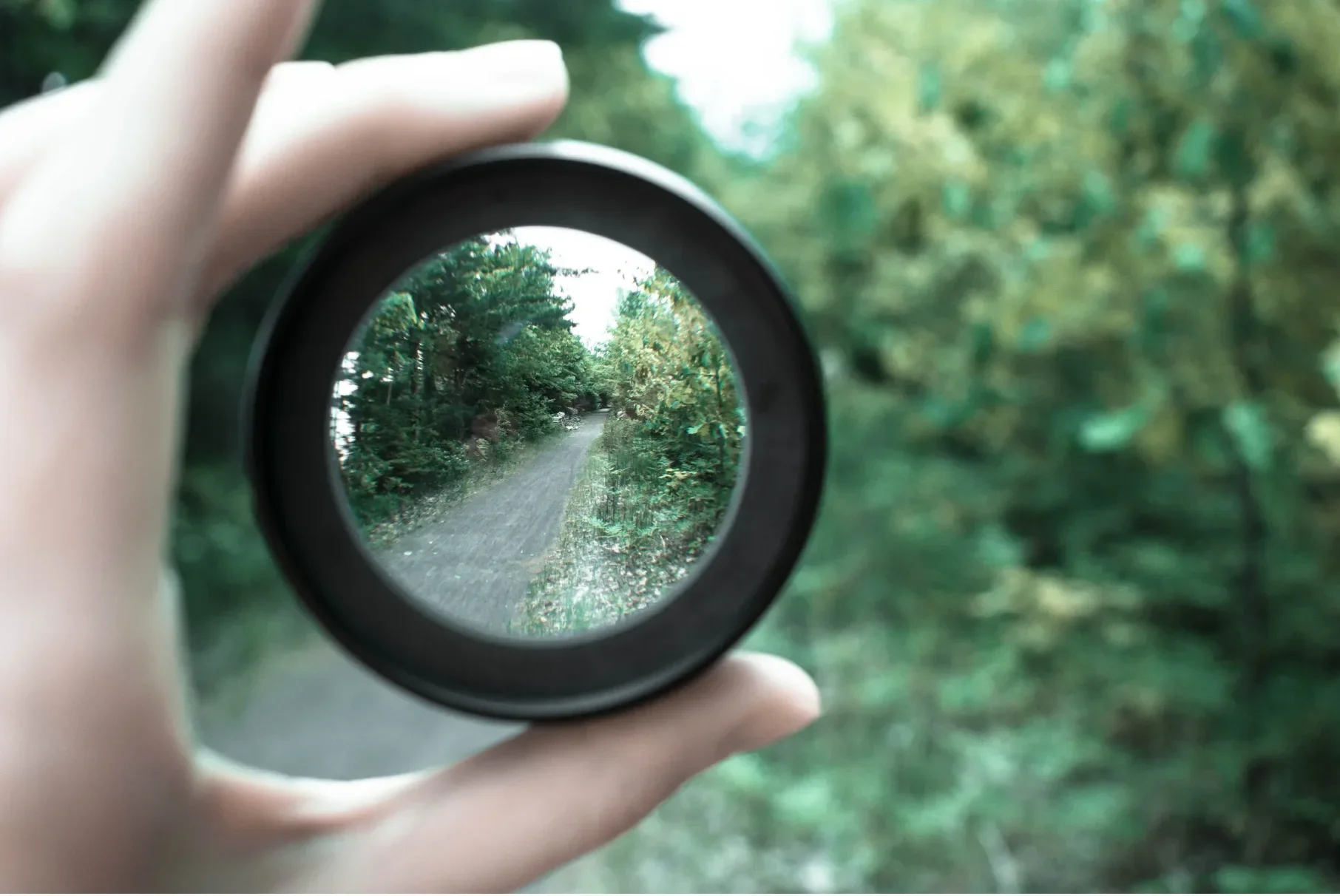 The Cynefin Framework: A Leader's Guide to Understanding Complexity