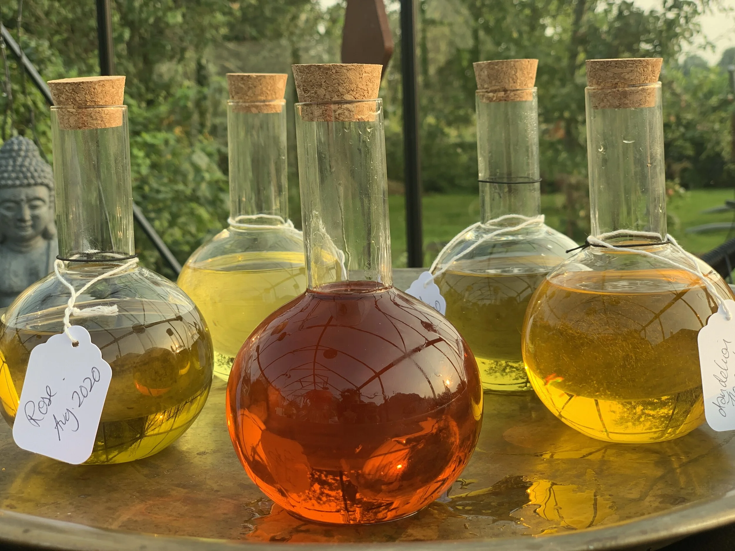 Medical Herbalist — Healthy Recipes — Art Of Health