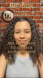 Harry Potter: Back to Hogwarts 