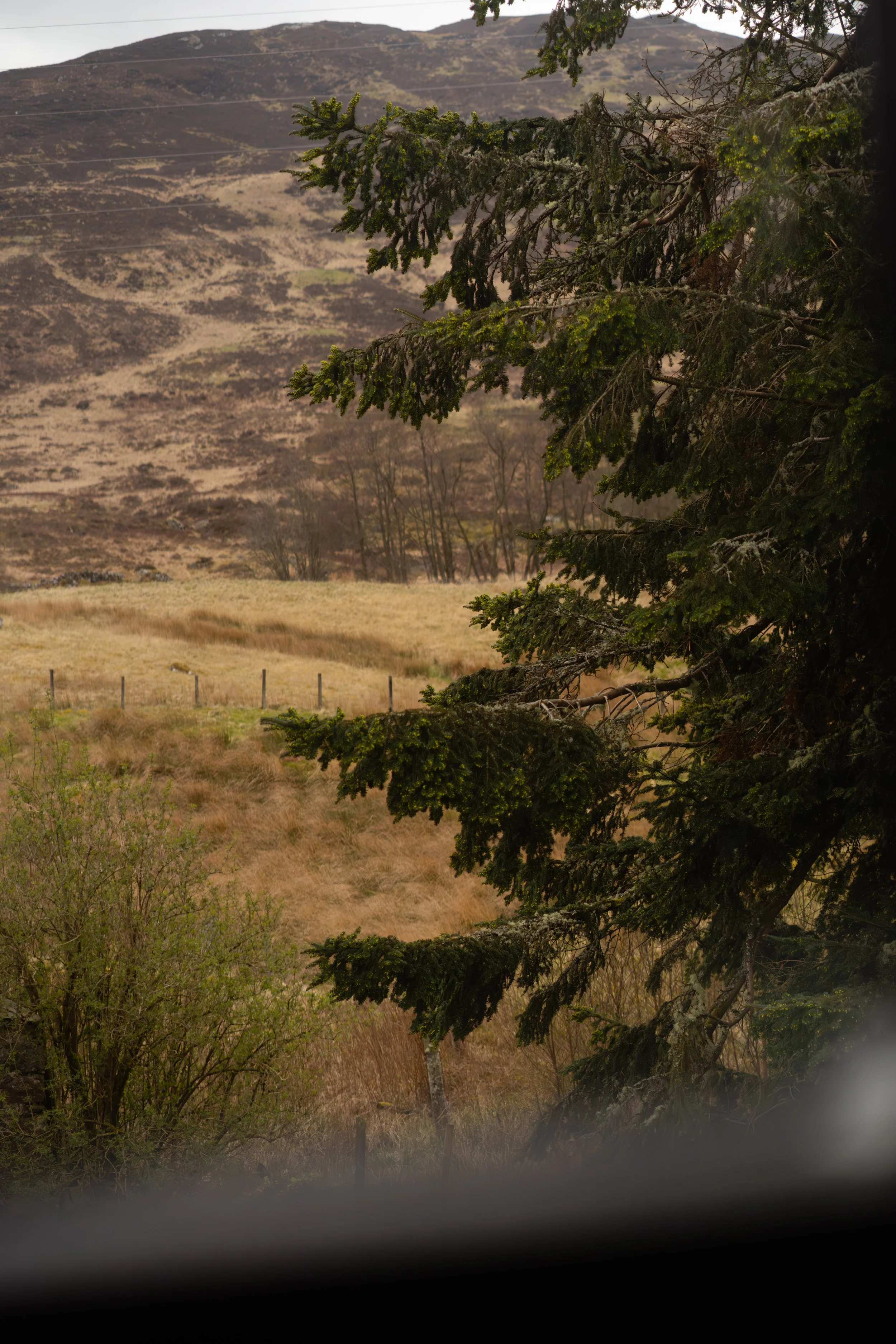 Suie HUnting Lodge_1-96.jpg