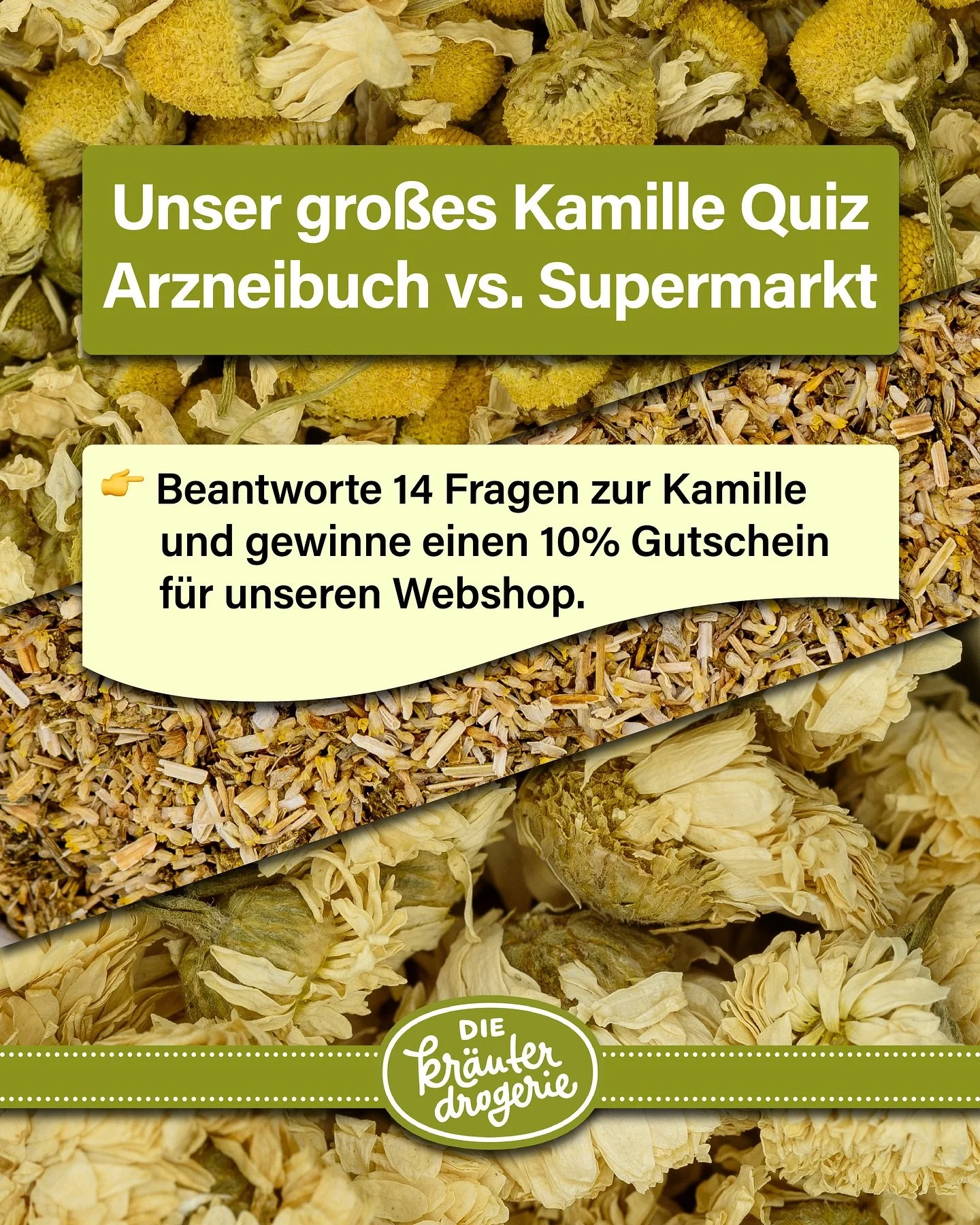 🍂 Der Herbst ist da &ndash; Zeit f&uuml;r starke Kr&auml;uter in deiner Hausapotheke! 🌿 Kamillentee kennt jeder &ndash; aber wusstest du, dass es riesige Unterschiede in Qualit&auml;t und Wirksamkeit gibt?
👉 Mach jetzt unser gro&szlig;es Kamillen-