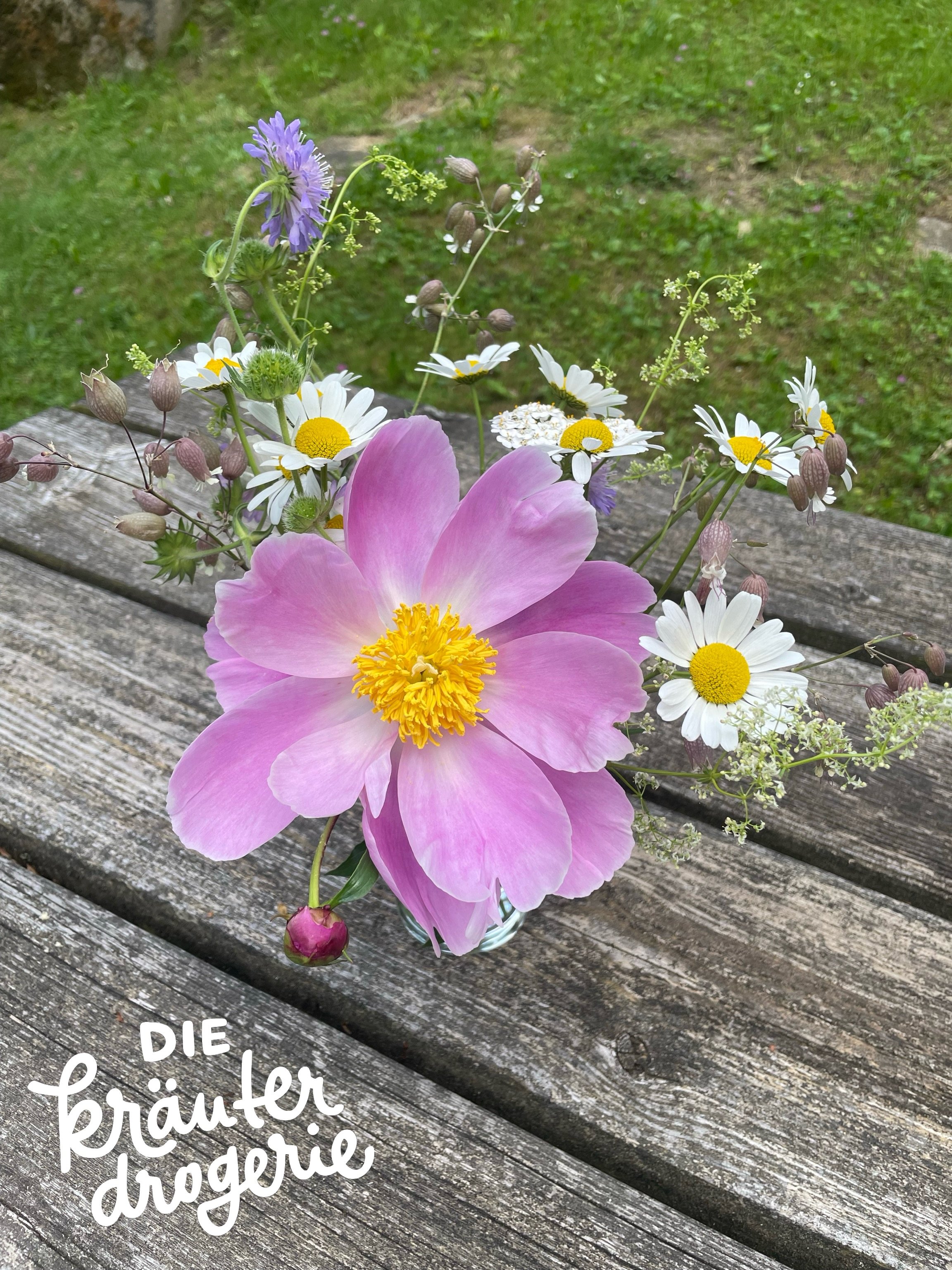 Unsere liebe Kr&auml;uterdrogistin Margit war in den Bergen unterwegs und hat uns diese wundersch&ouml;nen Einblicke mitgebracht. So sch&ouml;n, denn es gr&uuml;nt und bl&uuml;ht an jeder Ecke! 🌲🌸

Weil wir Kr&auml;uterdrogistinnen aber nicht nur d