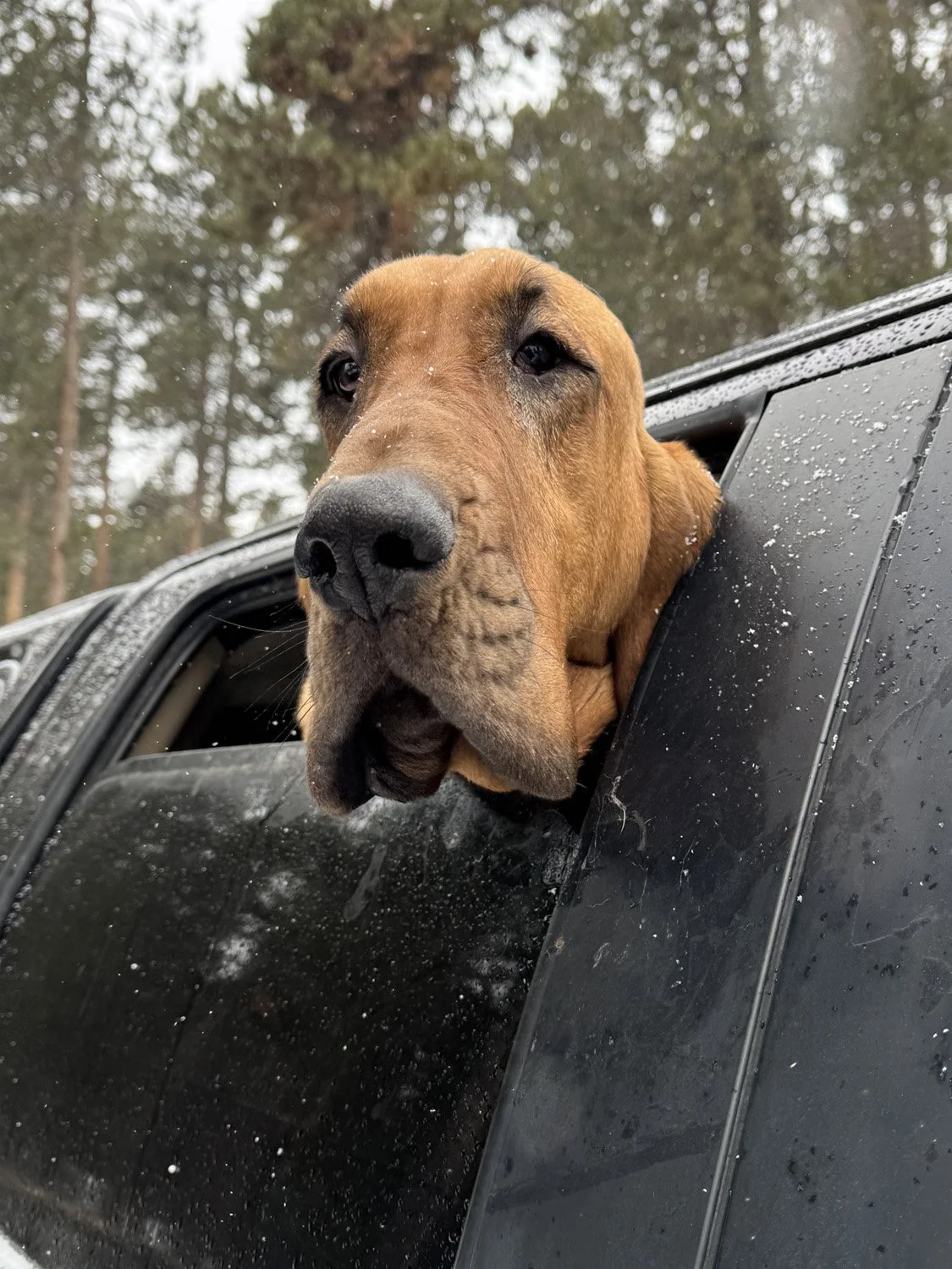 Otis_5734.jpg