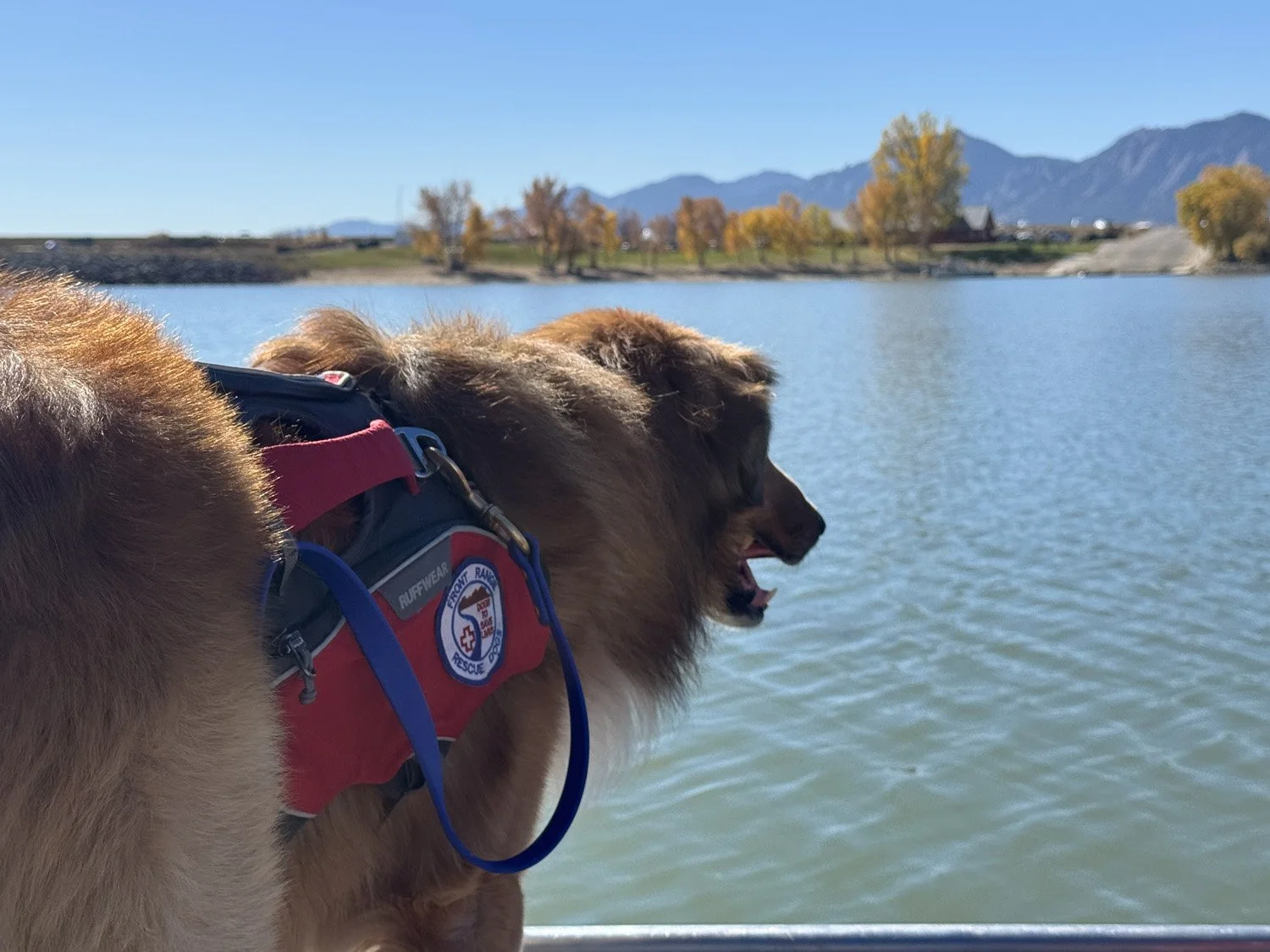 WaterTraining_Brodie_3578.jpg