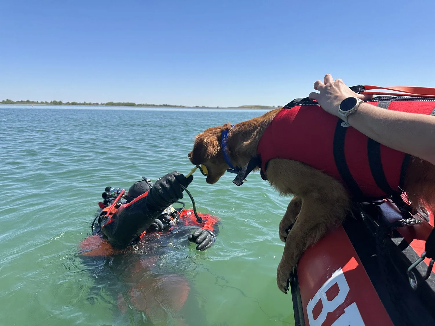 WaterTraining_Darby__6485.jpg