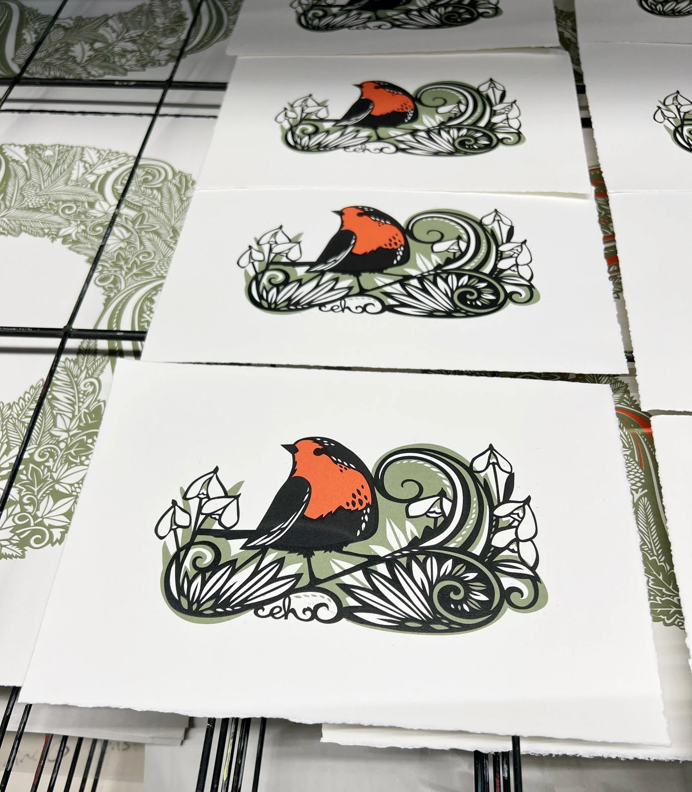 AfterlightImage 506.JPG